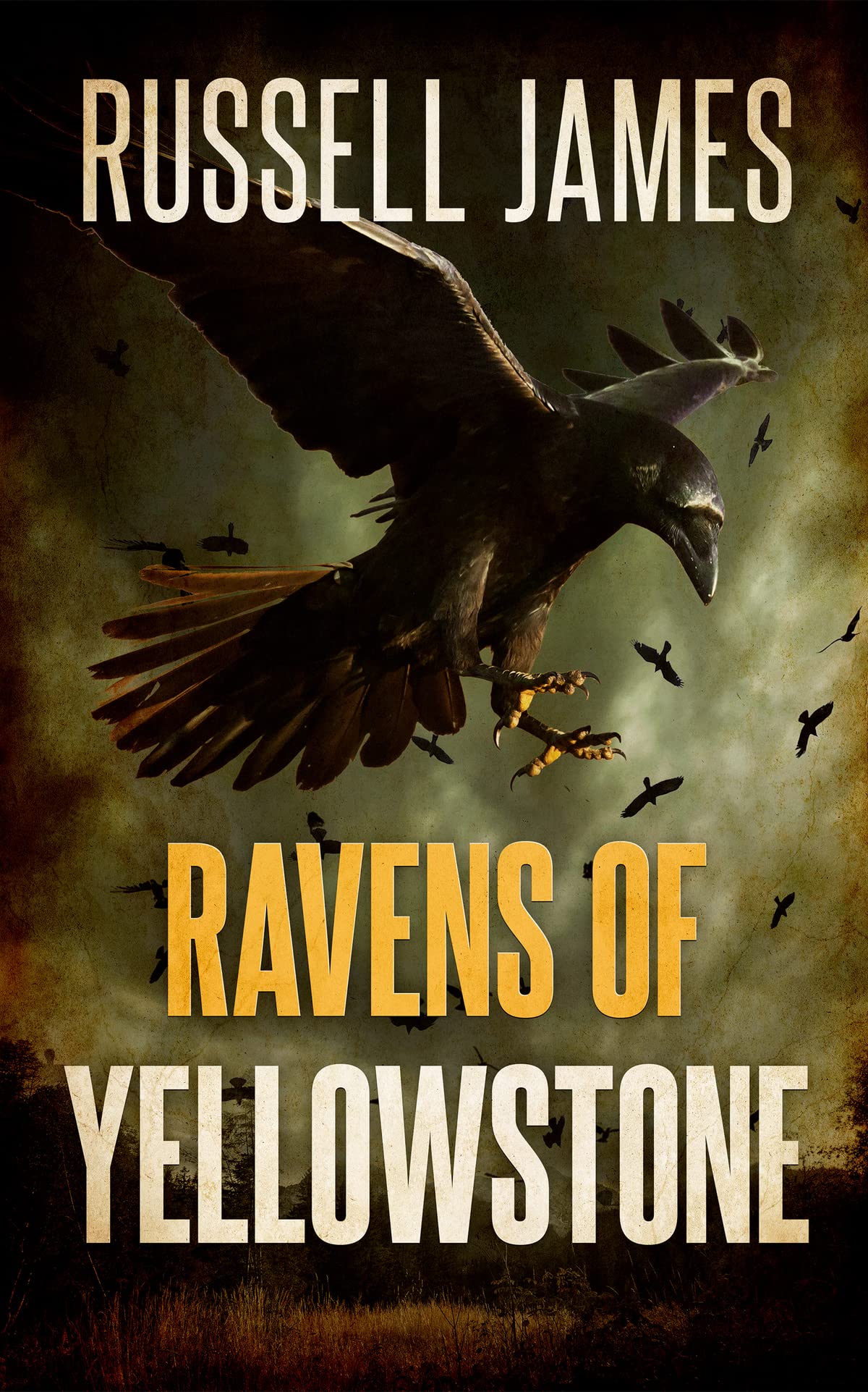 Ravens of Yellowstone
