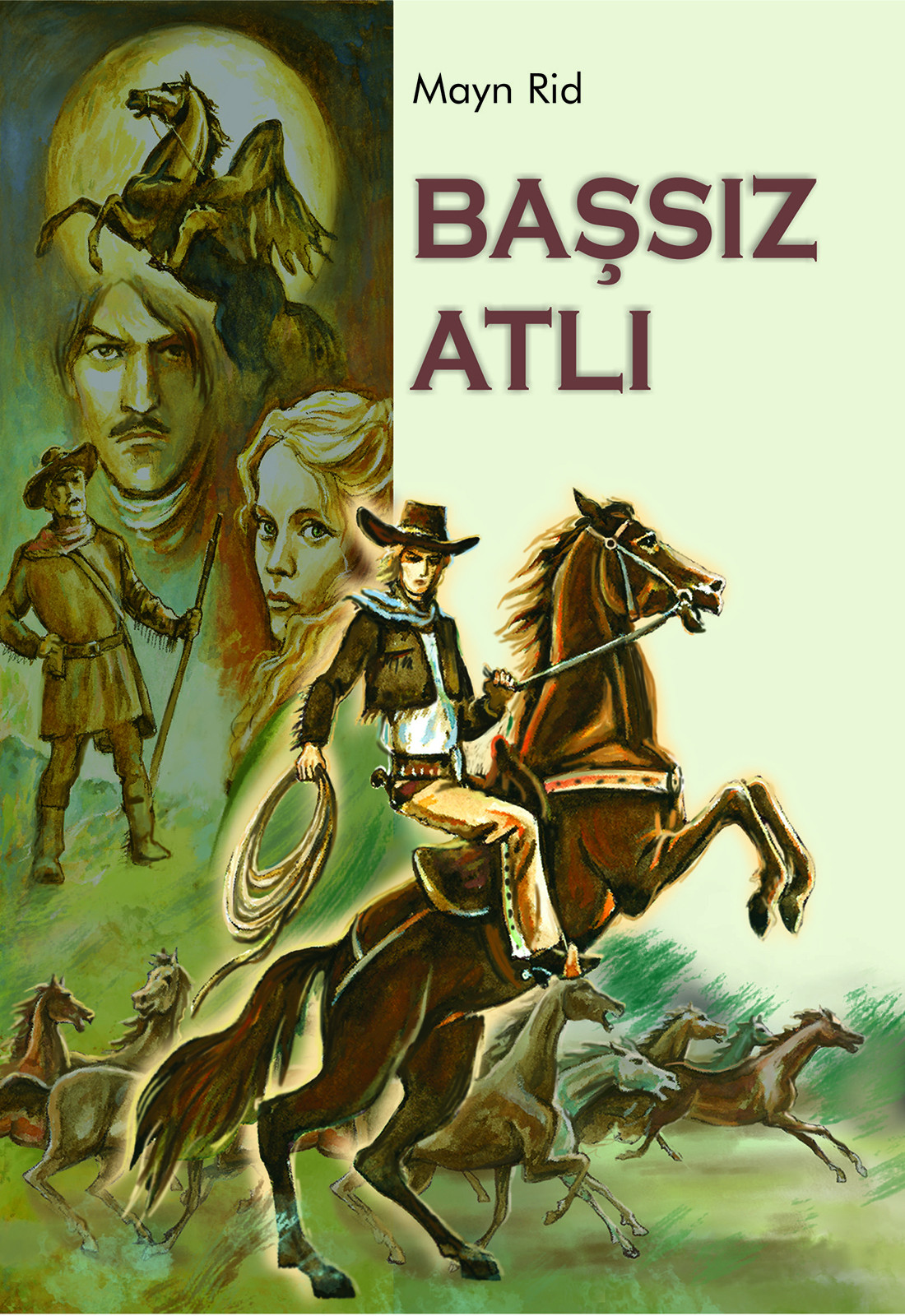 Başsız Atlı book cover