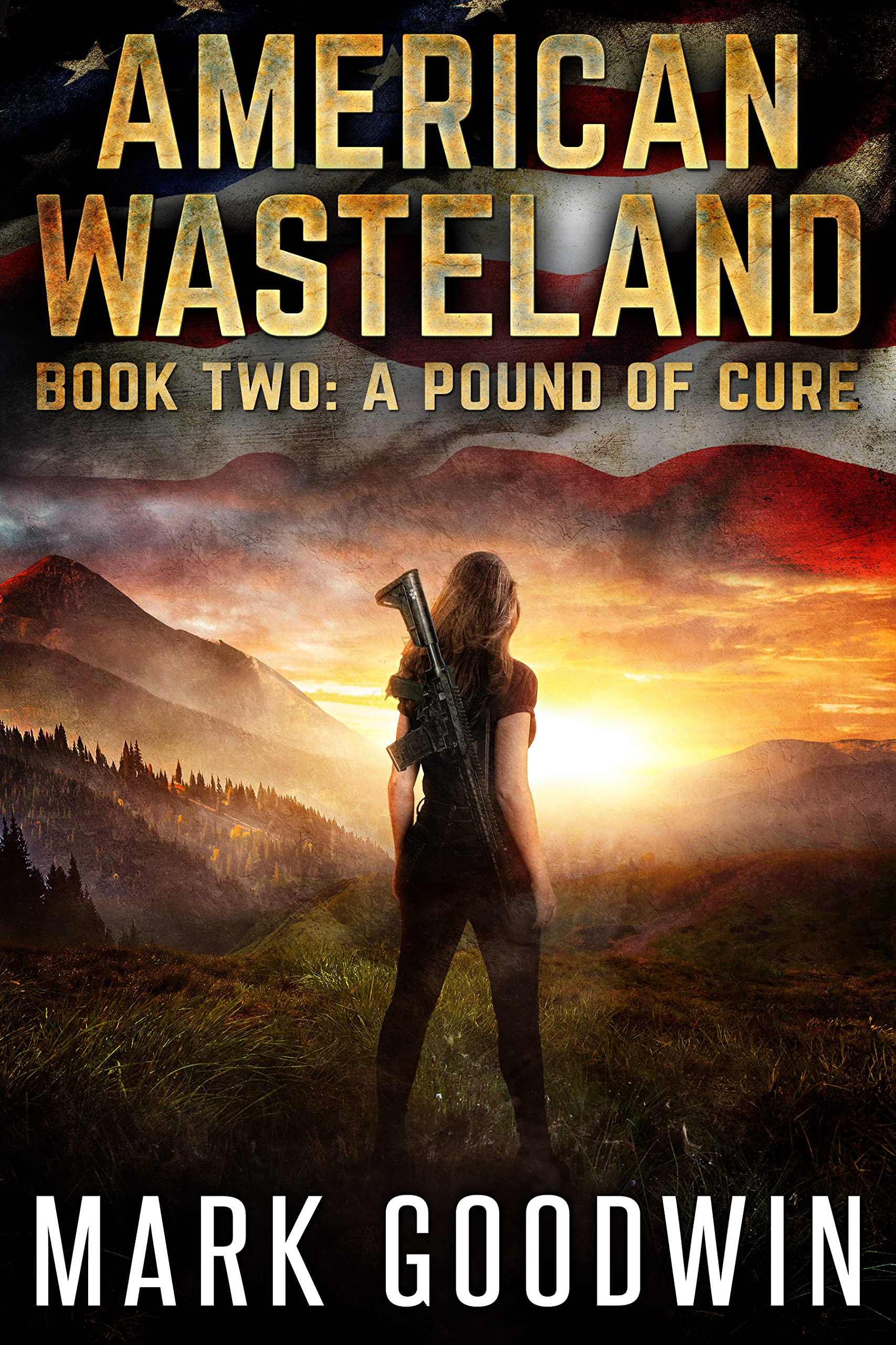 American Wasteland book cover 2