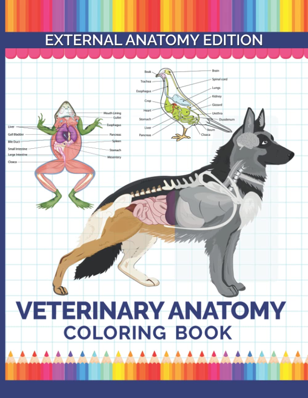 Veterinary Anatomy Coloring Book Veterinary Anatomy & Physiology