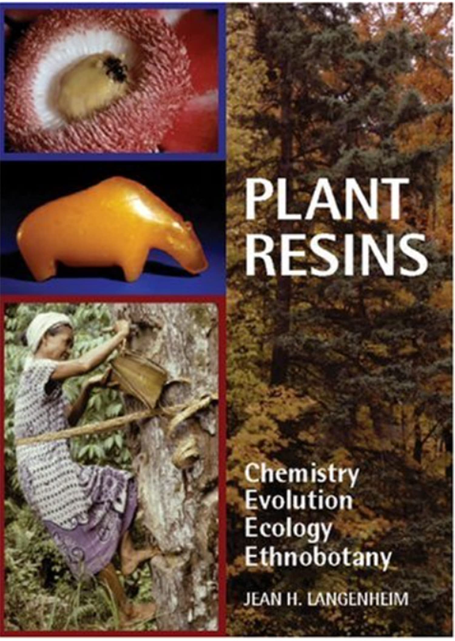 plant-resins-chemistry-evolution-ecology-and-ethnobotany-by-jean-h