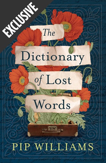 The Dictionary of Lost Words
