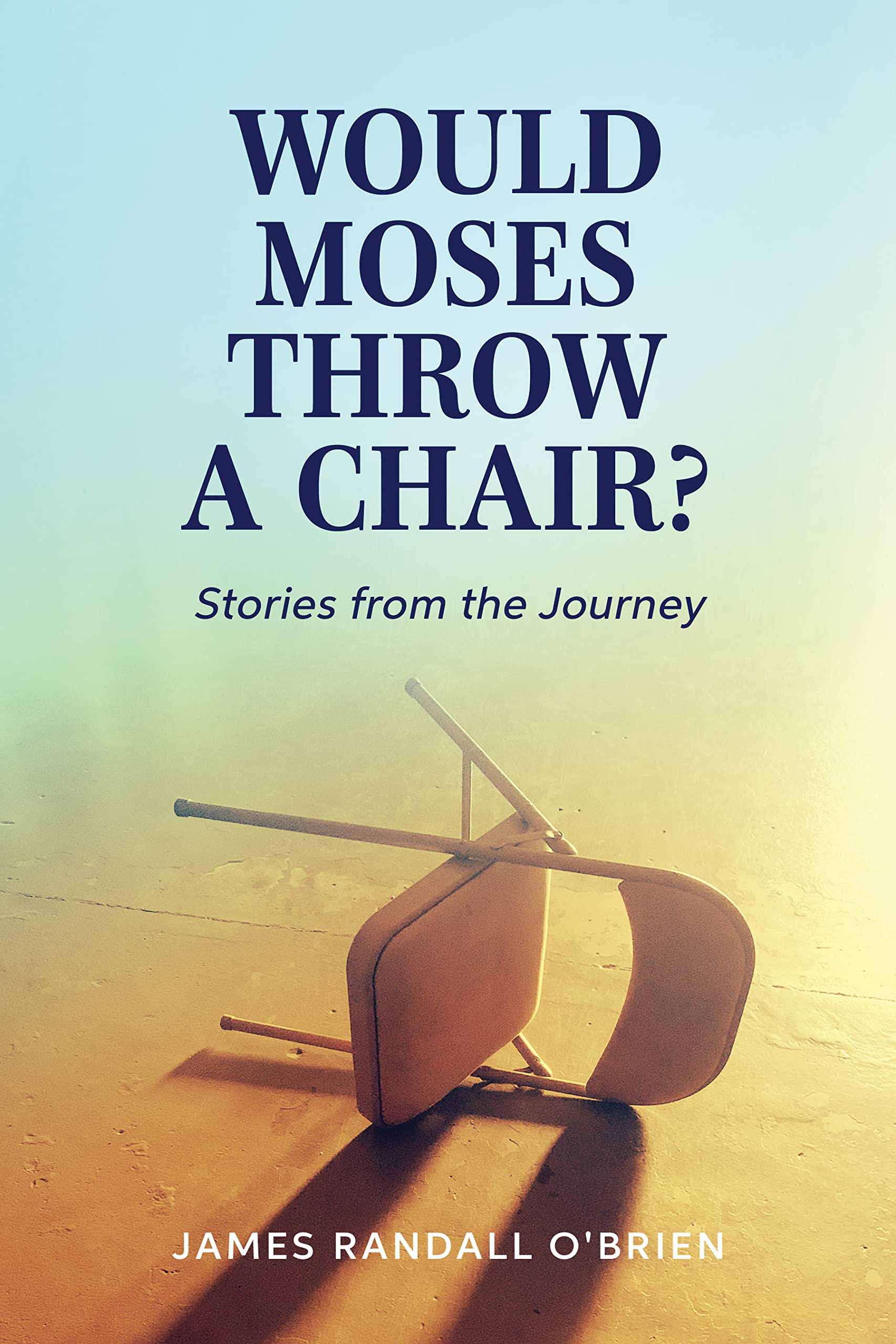 Would Moses Throw a Chair? Stories from the Journey by James O'Brien