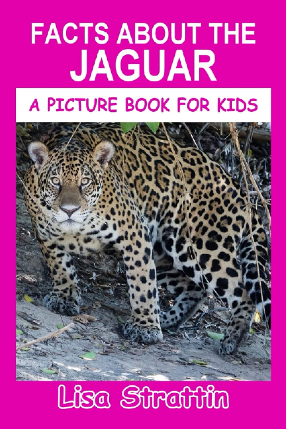 facts-about-the-jaguar-a-picture-book-for-kids-by-lisa-strattin