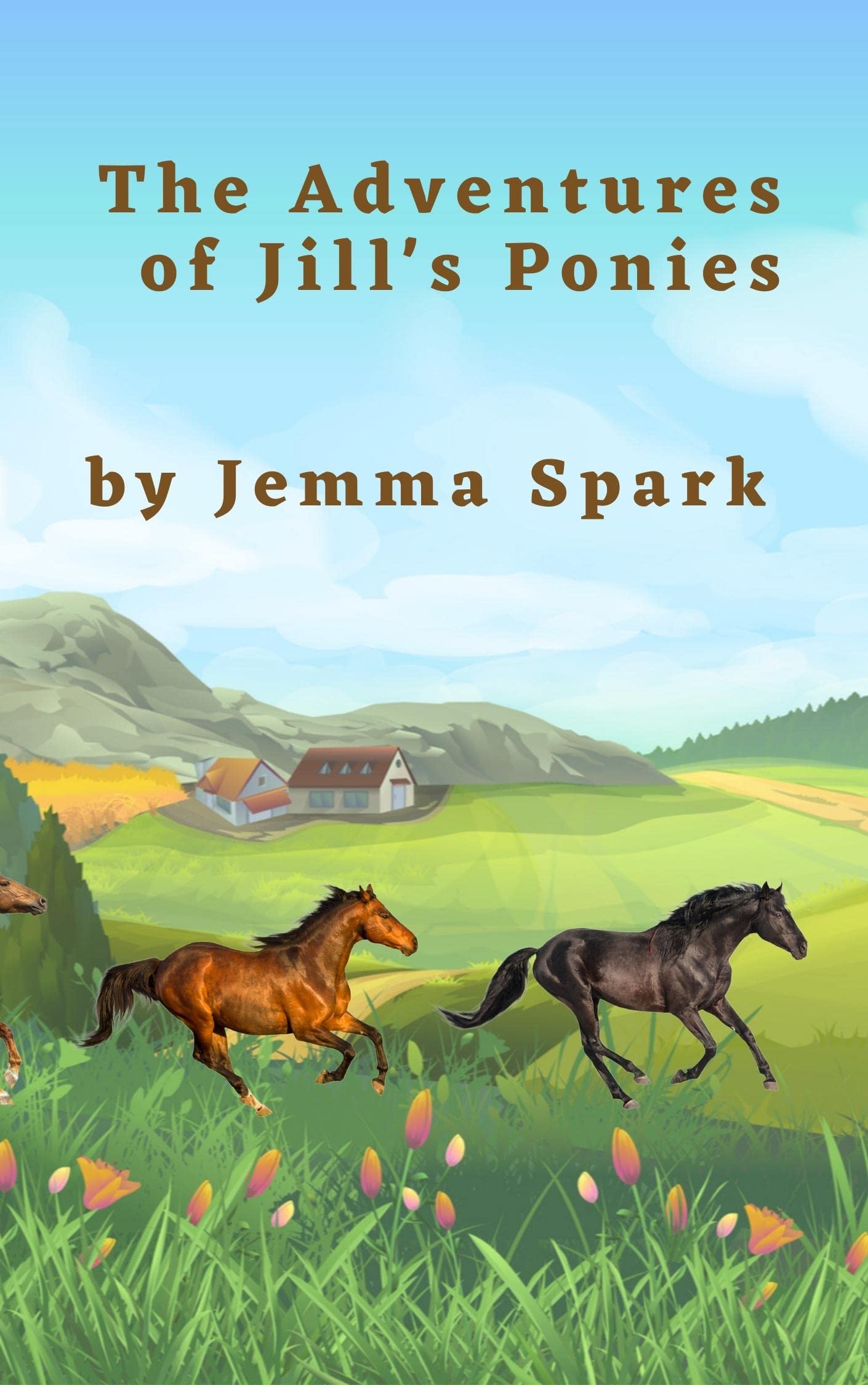 The Adventures of Jill's Ponies