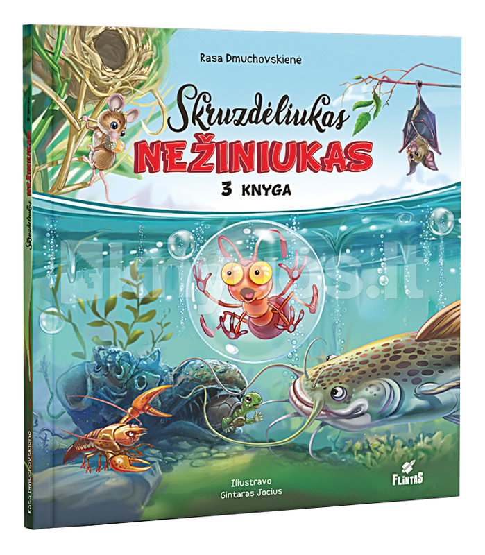 Skruzdėliukas Nežiniukas 3