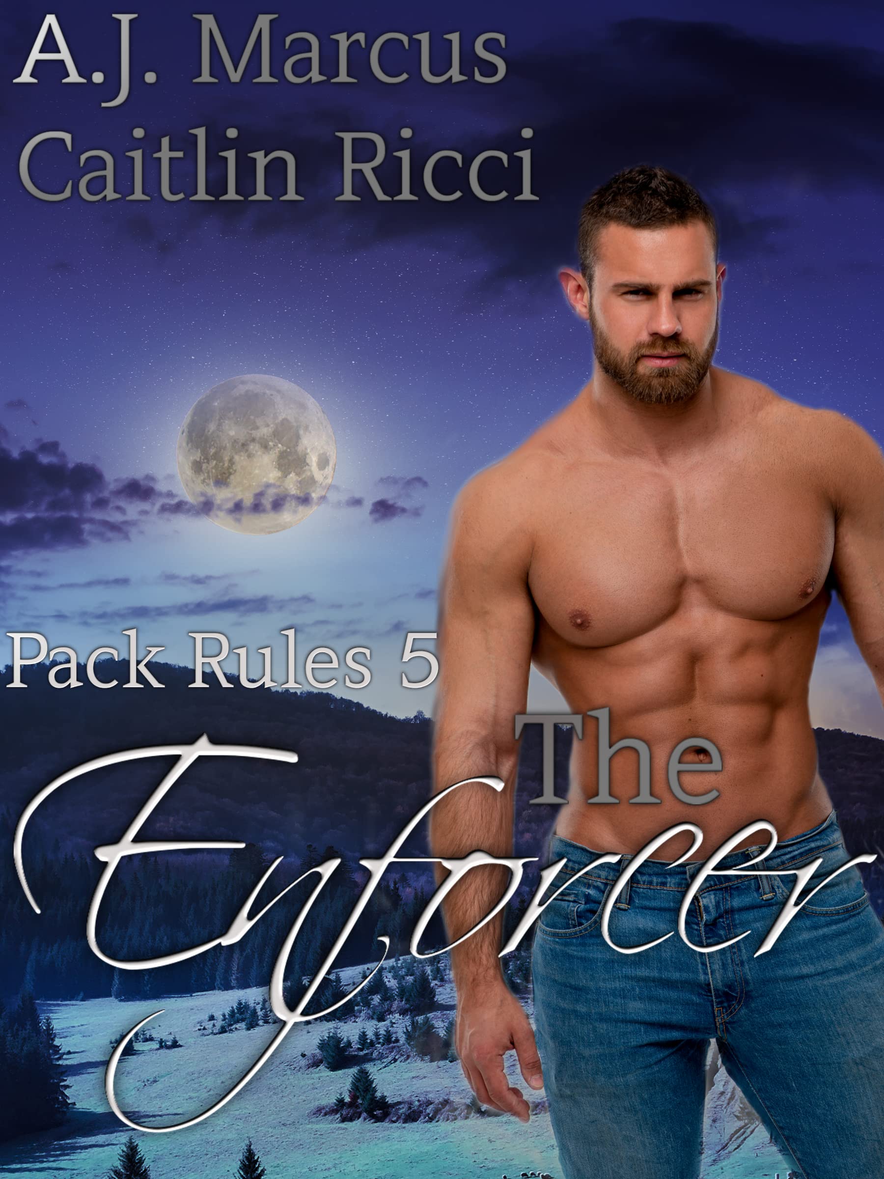 The Enforcer book cover