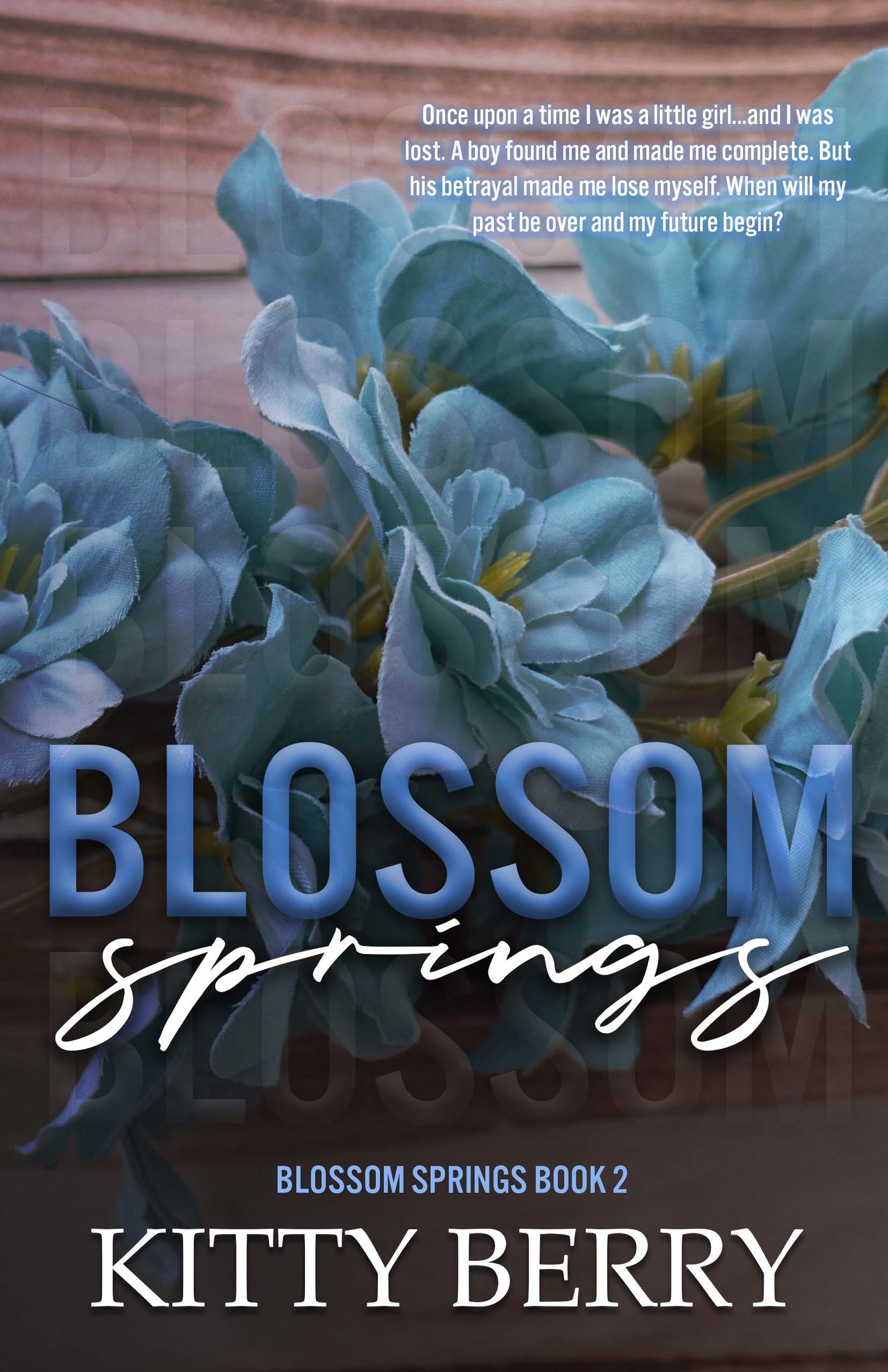 Blossom Springs, Book 2 book cover