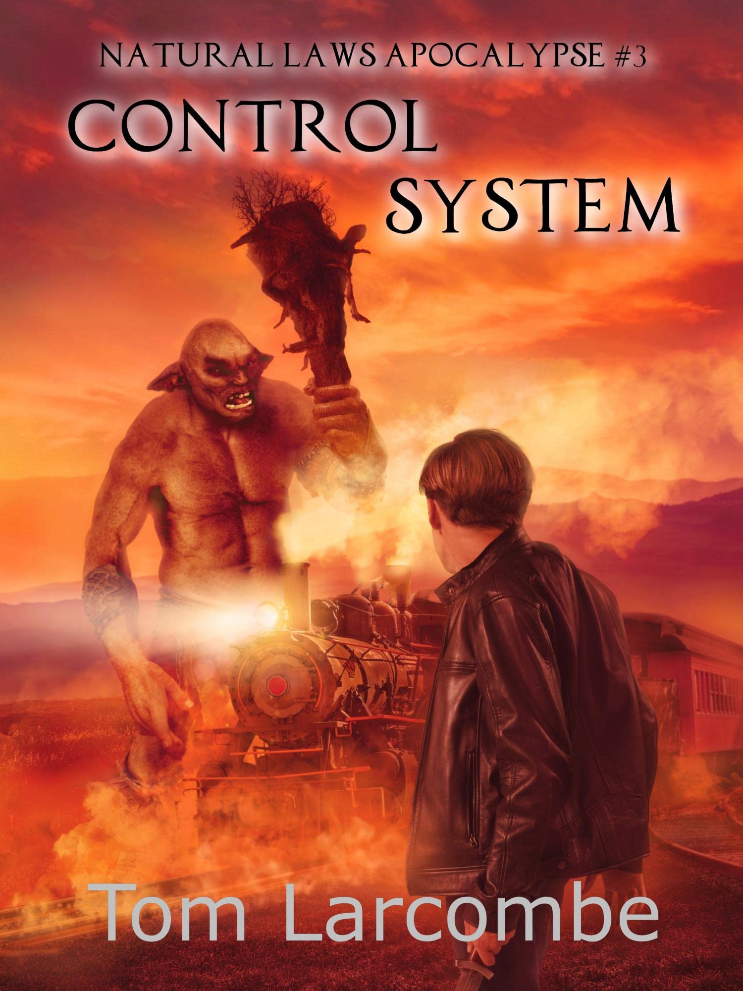 Control System