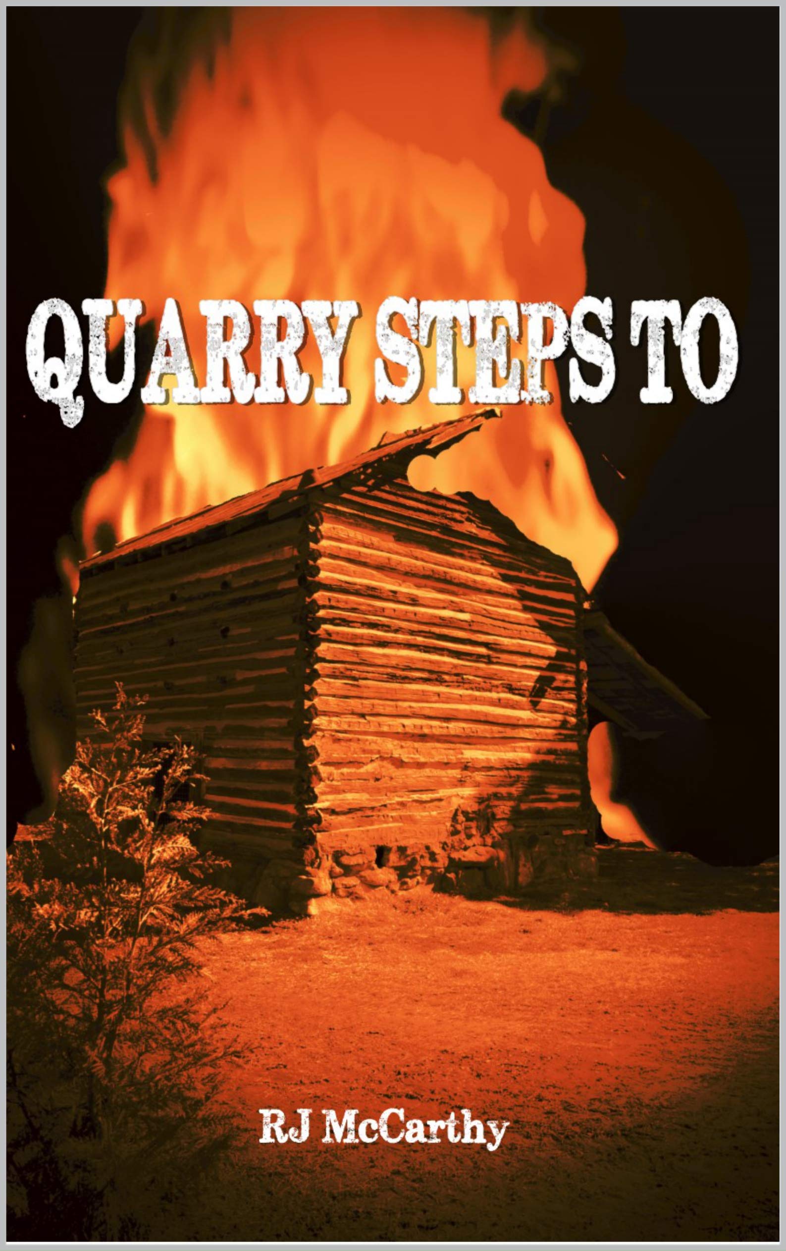 Quarry Steps To A Tony Quarry Carolina Mystery by R. J. McCarthy