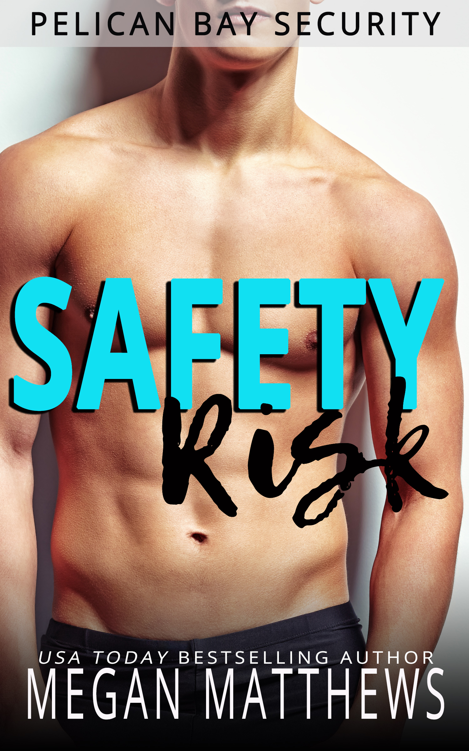 Safety Risk book cover