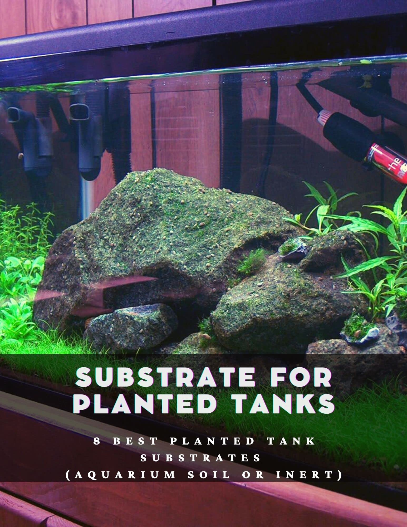 Substrate for Planted Tanks 8 Best Planted Tank Substrates by Max Zorin Goodreads