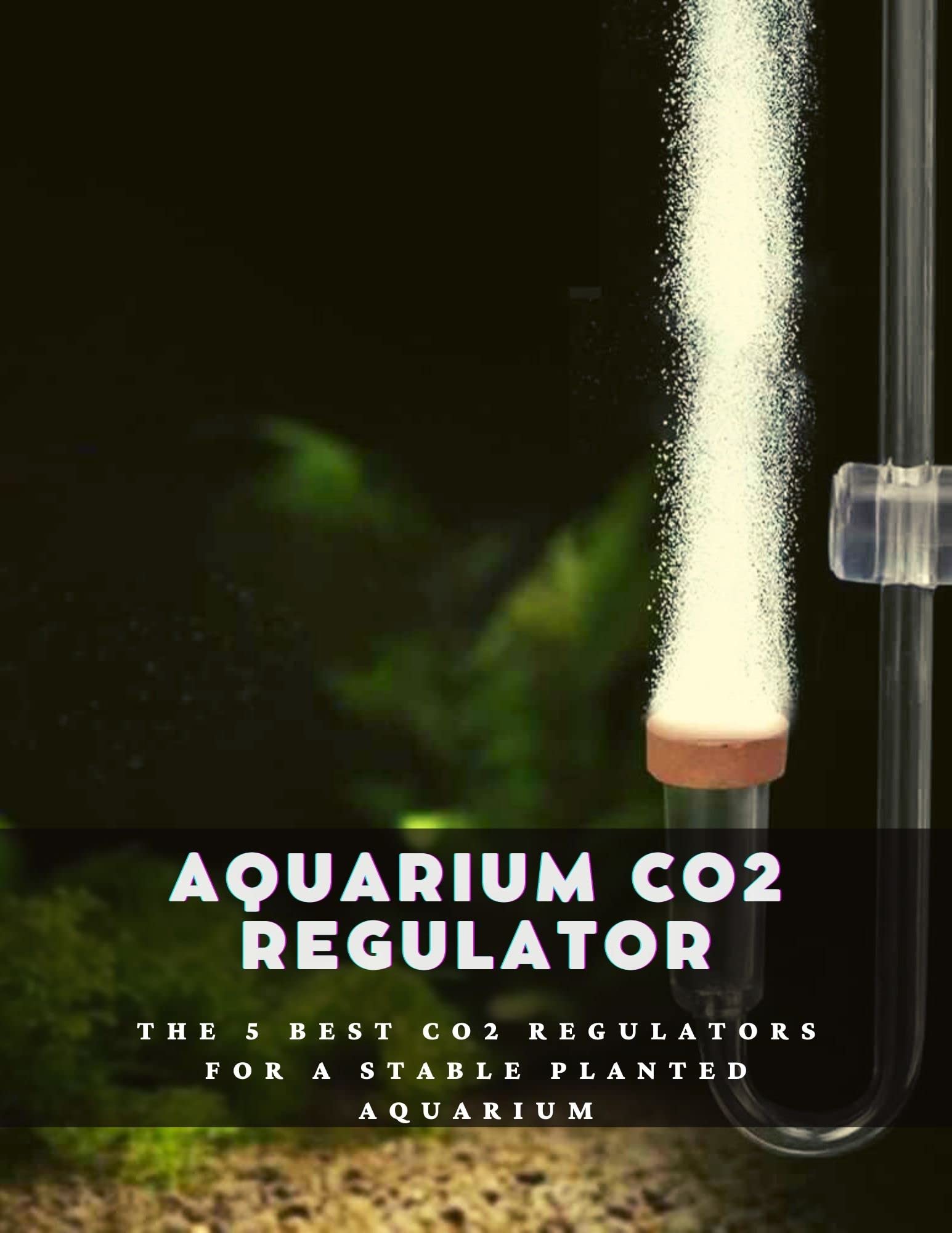 Aquarium CO2 Regulator: The 5 Best CO2 Regulators for a Stable Planted ...