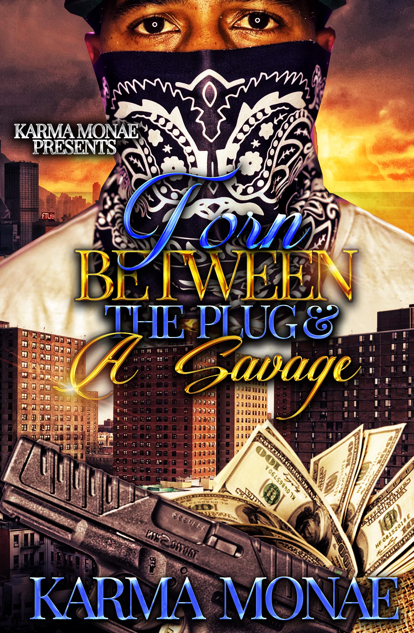 Torn Between the Plug & A Savage book cover