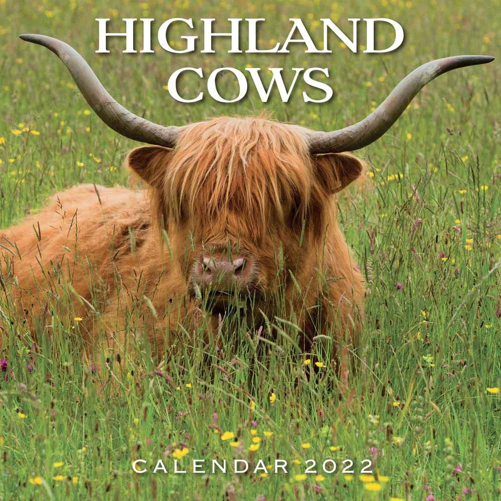 2022-calendar-highland-cows-by-lomond-books-ltd-goodreads