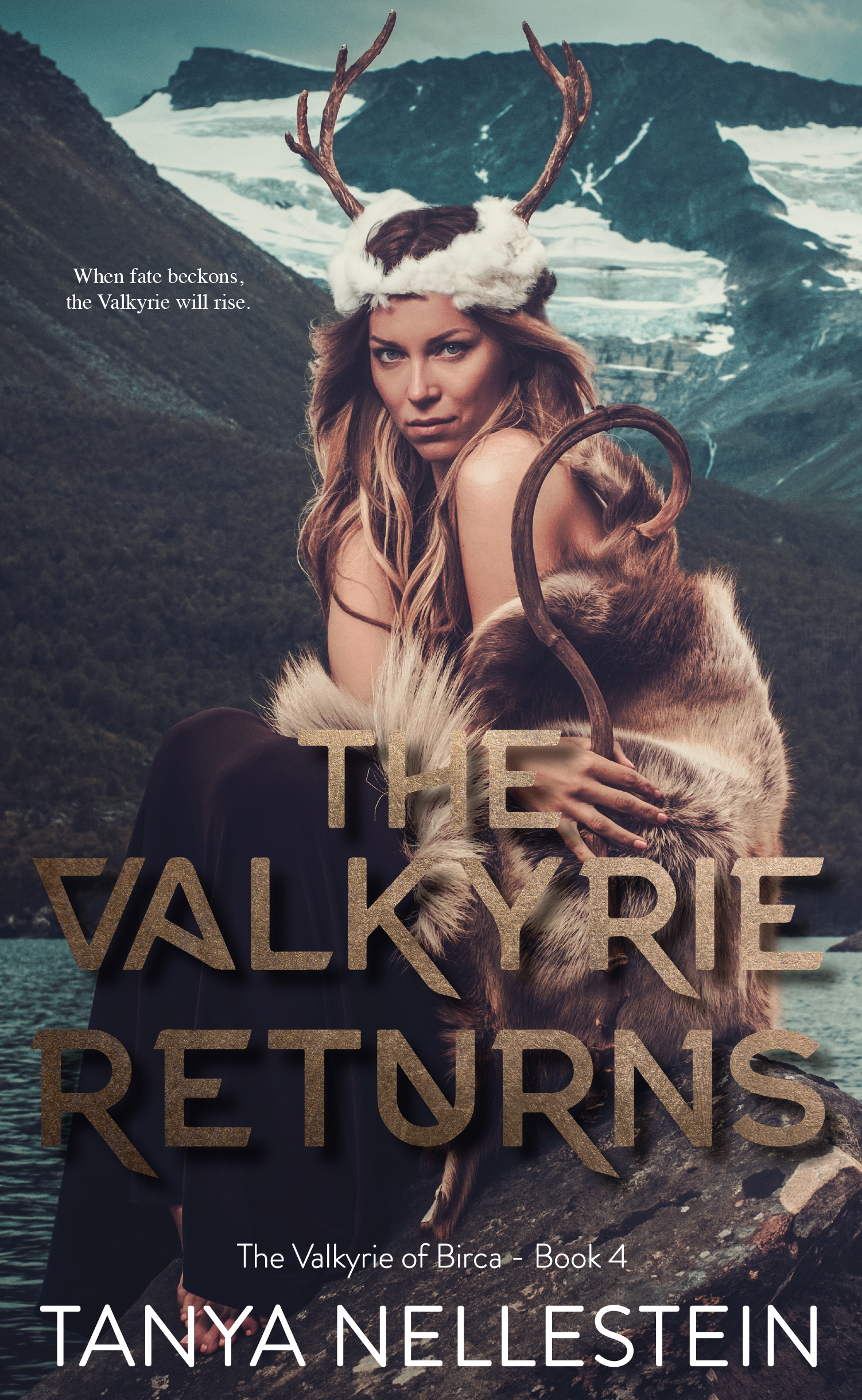 The Valkyrie of Birca book cover 3