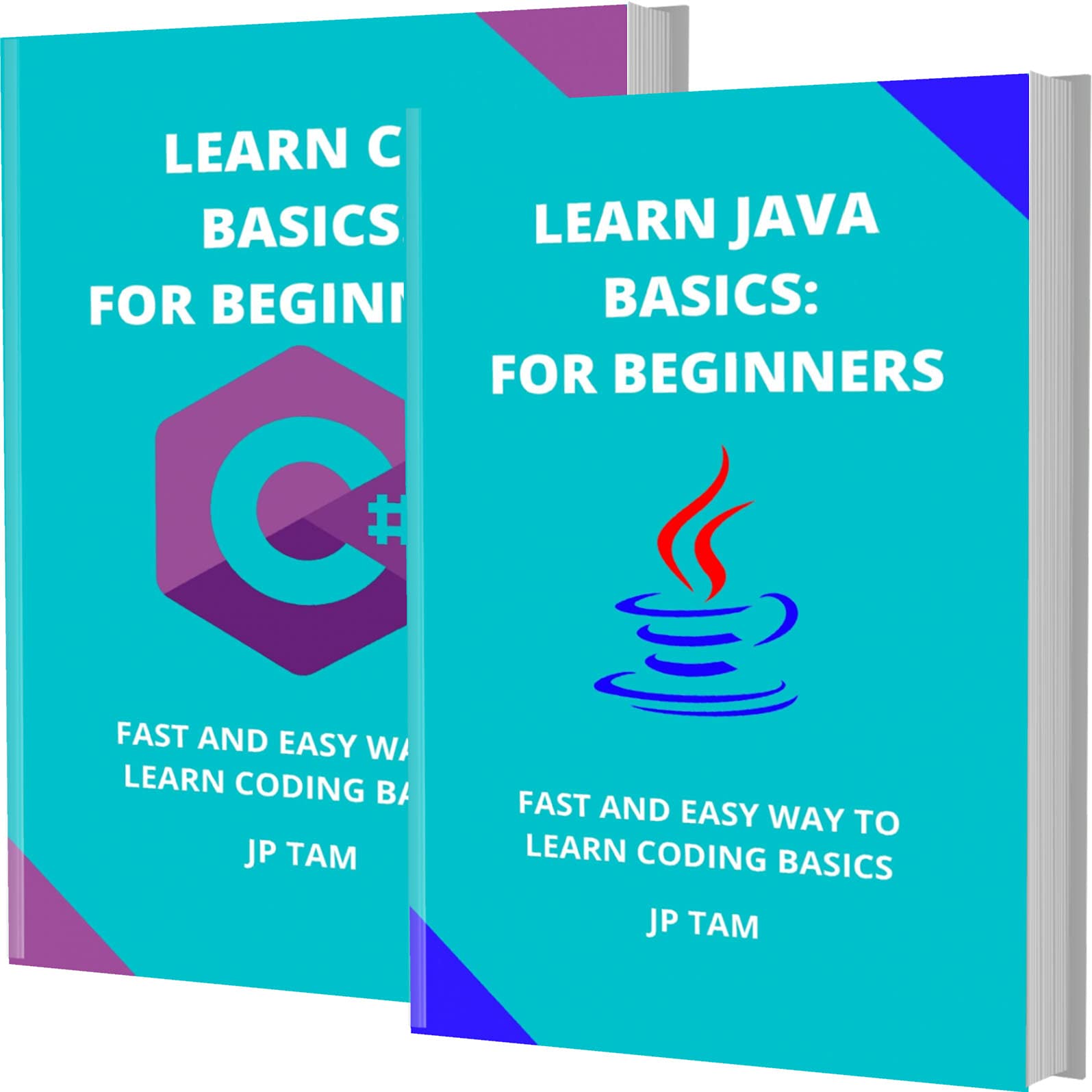 LEARN JAVA AND C BASICS FOR BEGINNERS FAST AND EASY WAY TO LEARN
