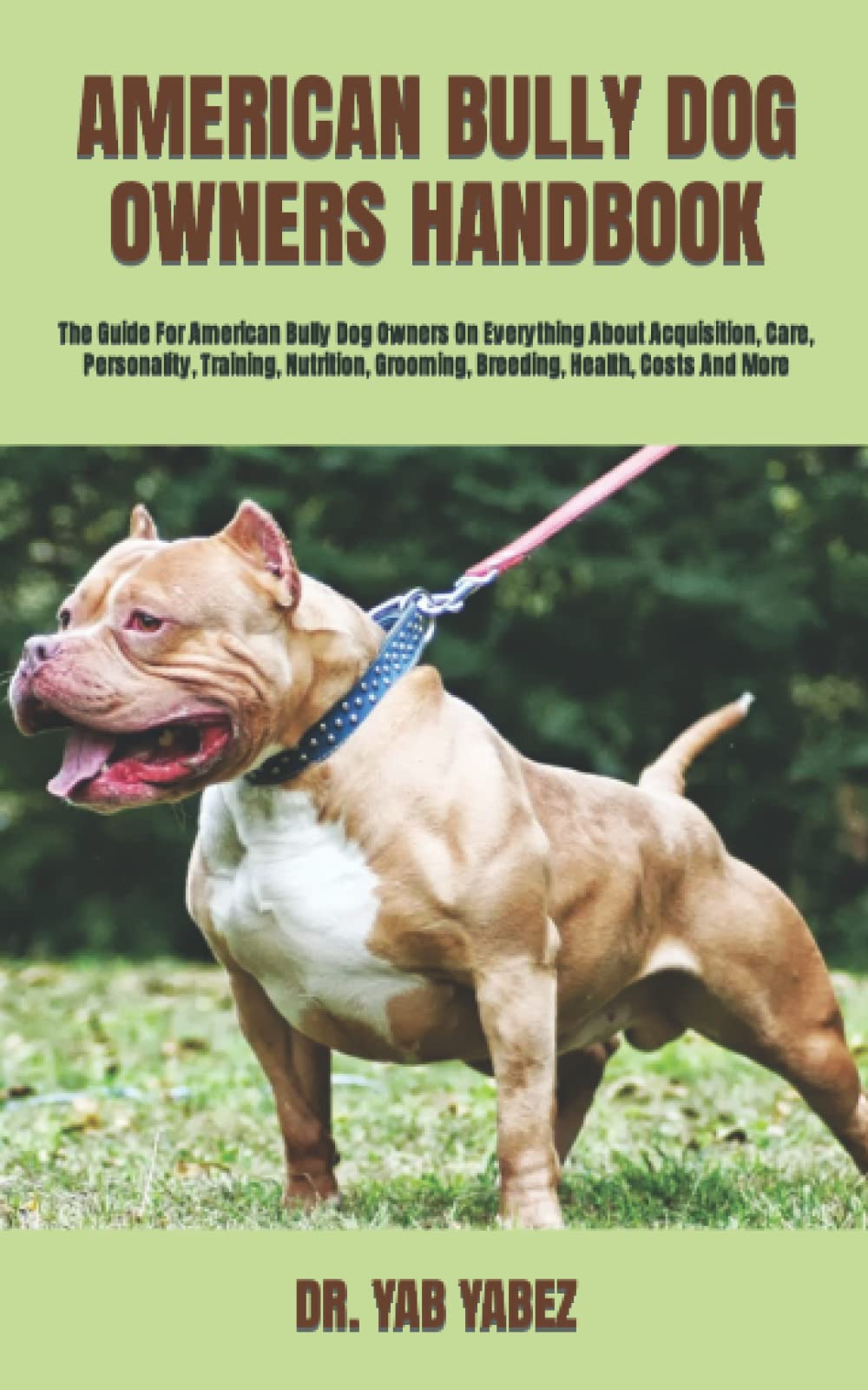 AMERICAN BULLY DOG OWNERS HANDBOOK The Guide For American Bully Dog