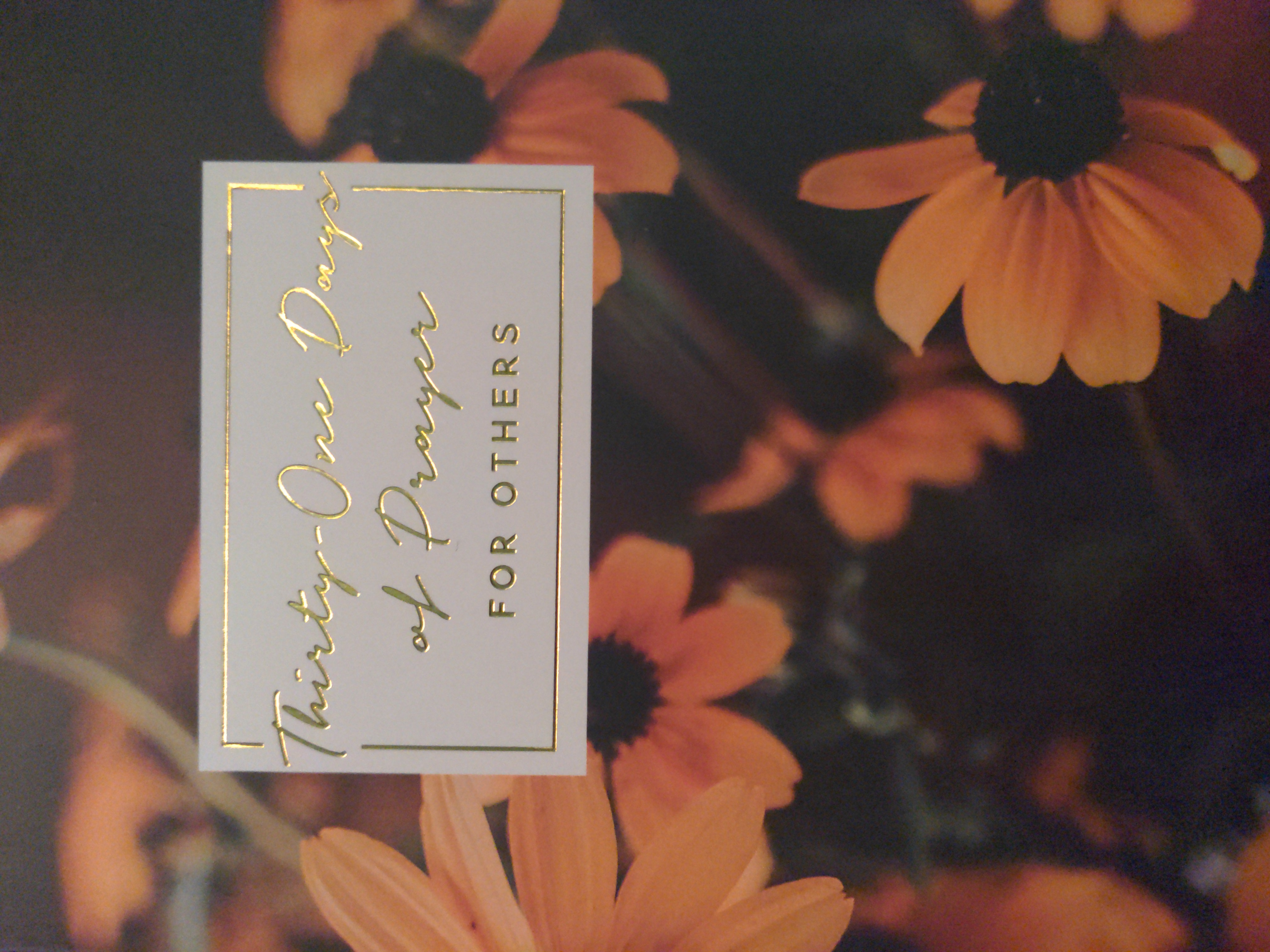 Thirty-One Days of Prayer for Others