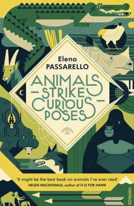 Animals Strike Curious Poses