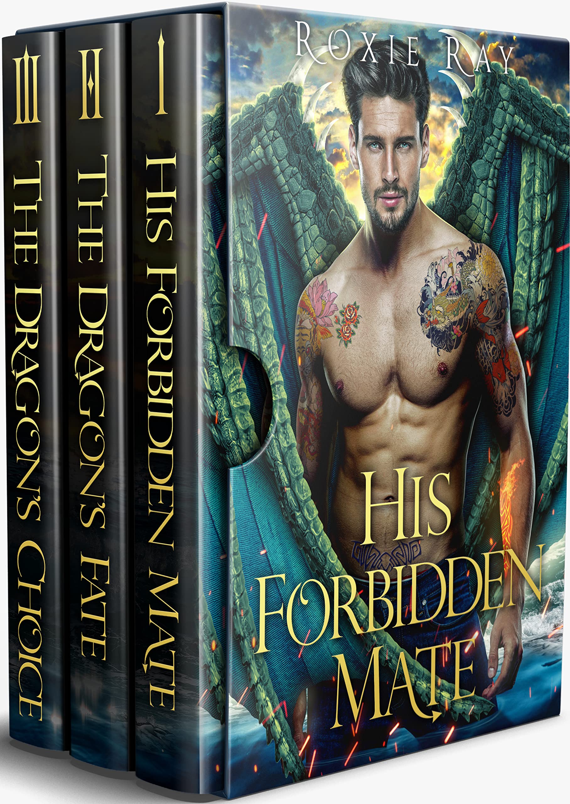 His Forbidden Mate book cover