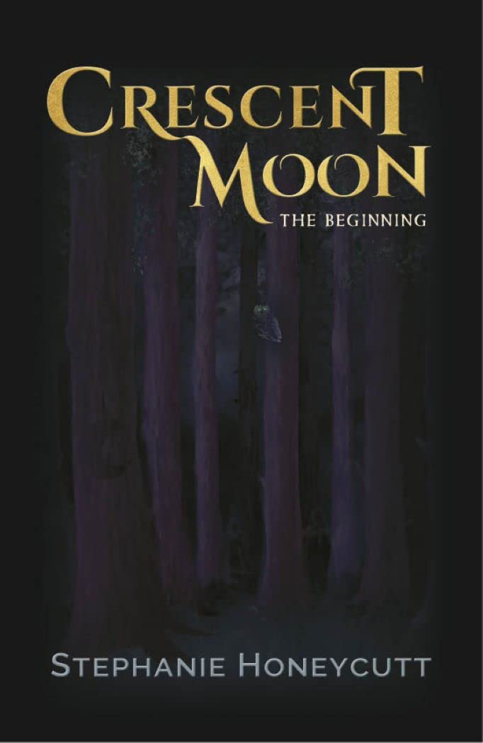 Crescent Moon : The Beginning