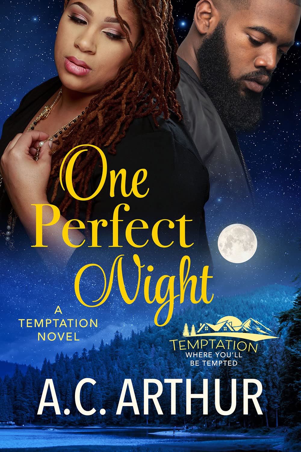 One Perfect Night book cover