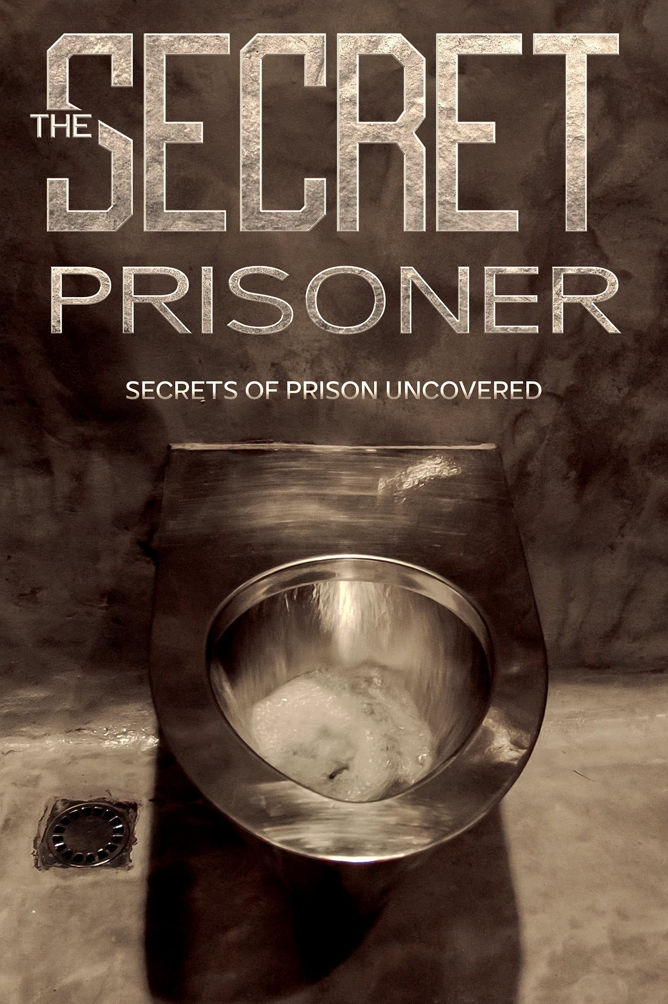The Secret Prisoner: Diary Of A Prisoner
