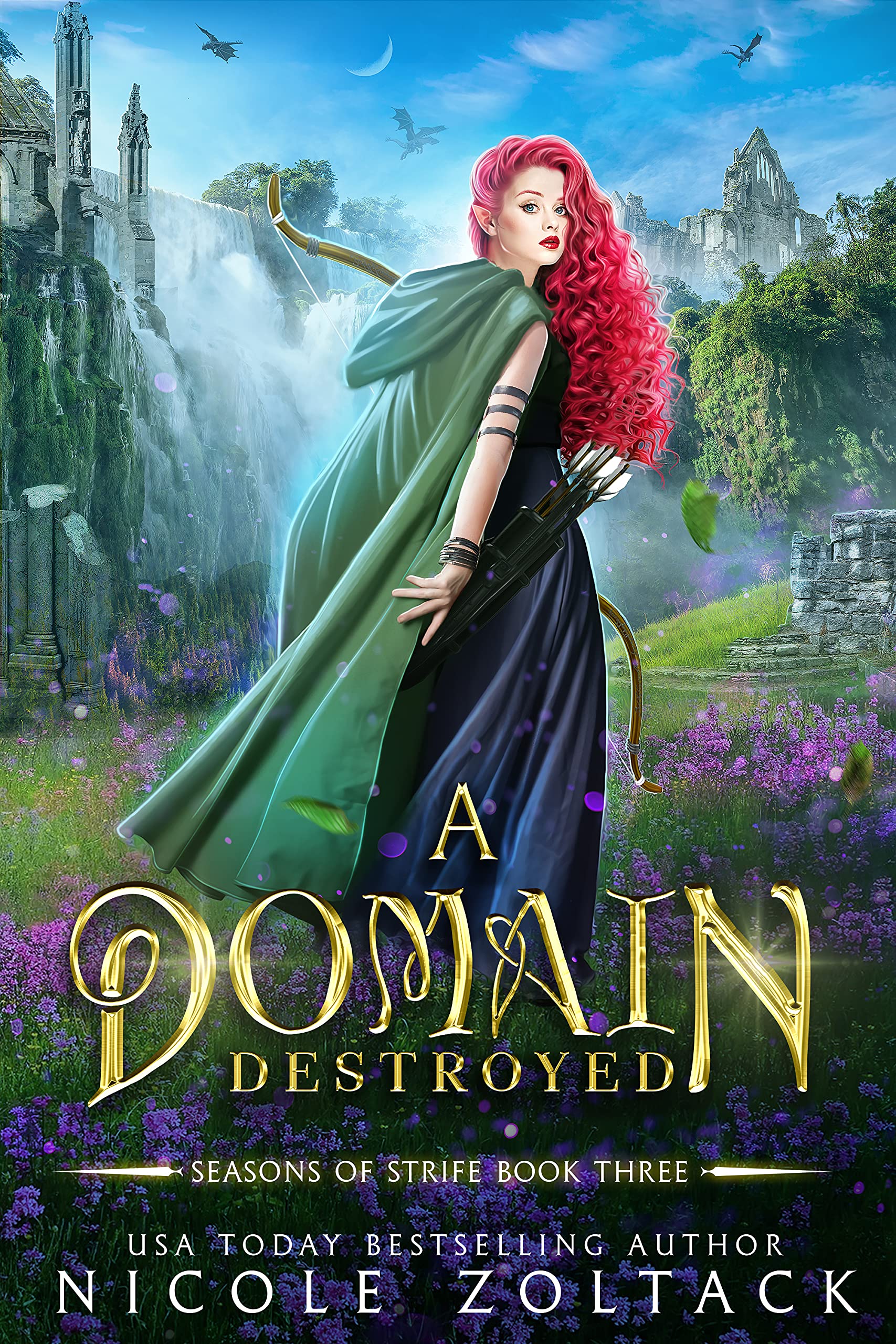 A Domain Destroyed book cover