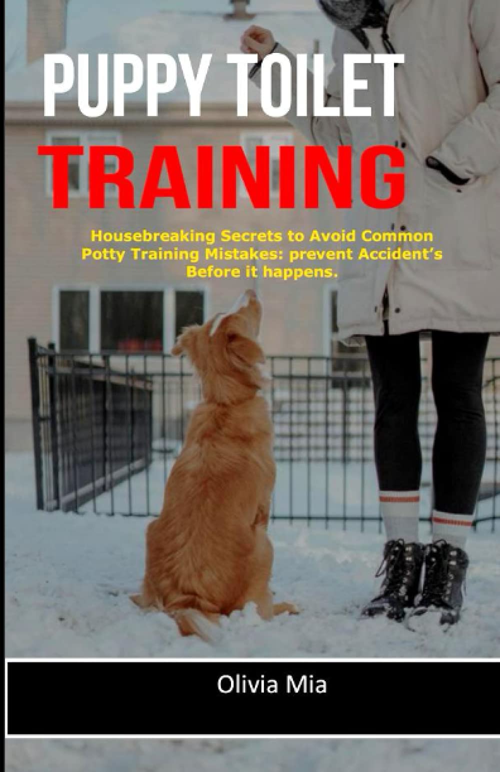 Puppy Toilet Training Housebreaking Secrets to Avoid Common Potty