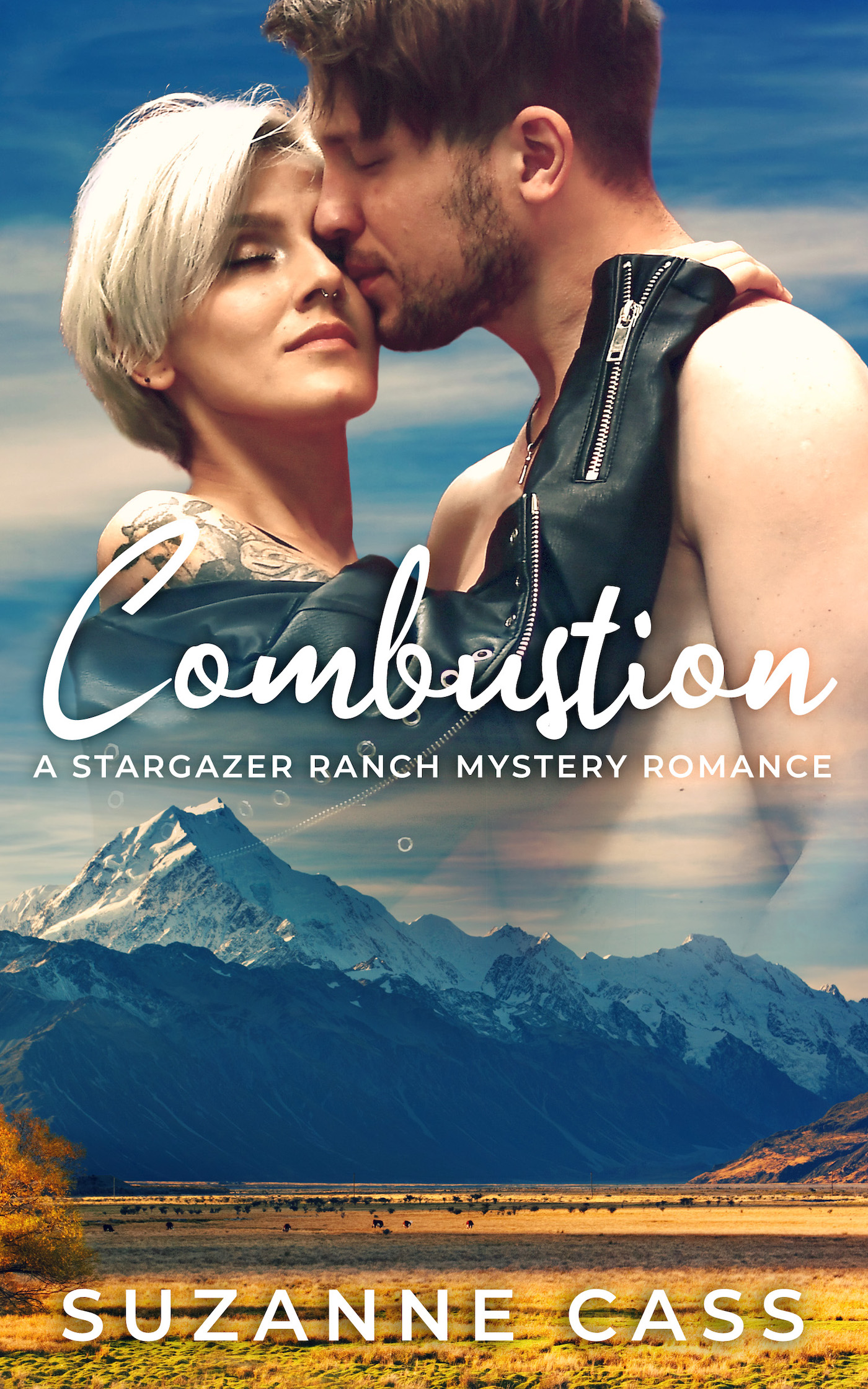 Combustion