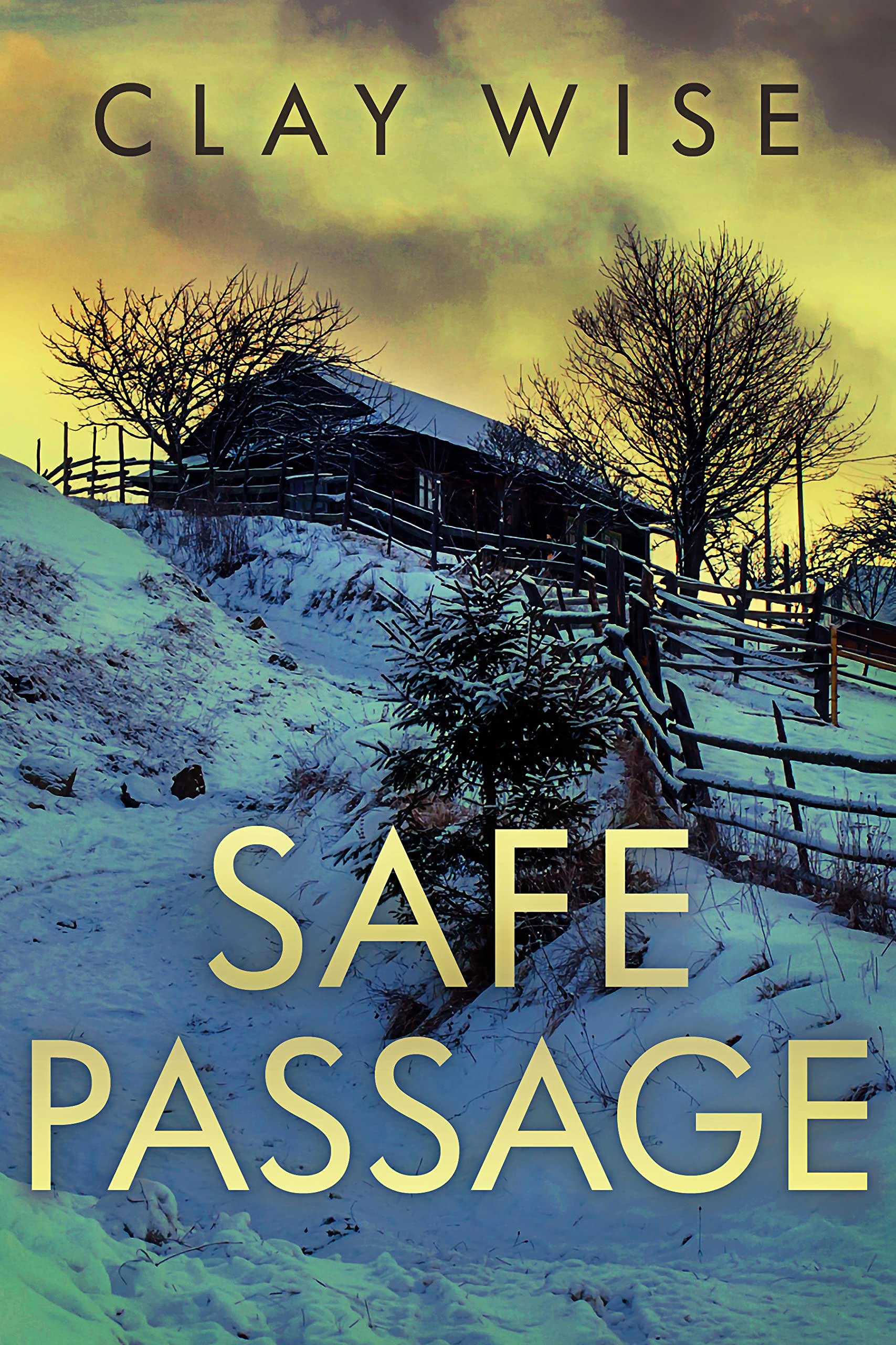 Safe Passage book cover