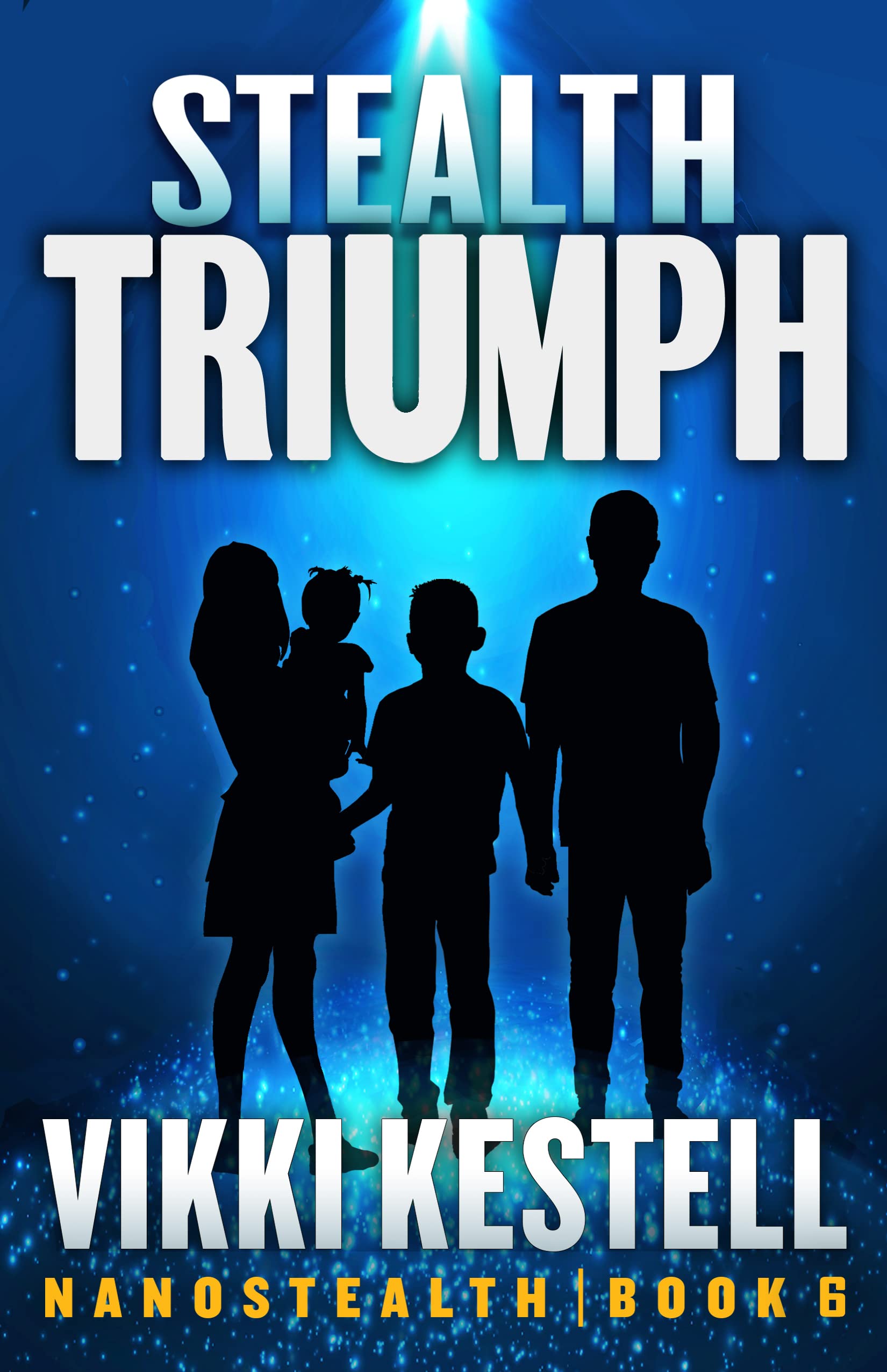 Stealth Triumph book cover