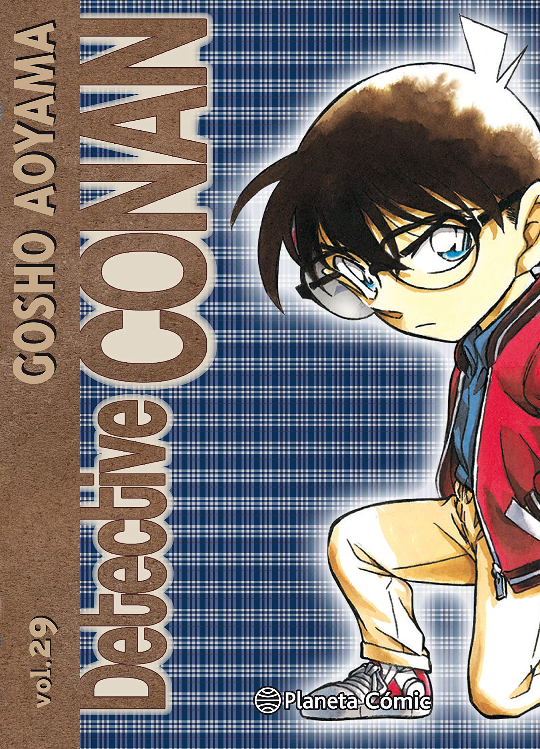 Detective Conan, vol. 29 book cover