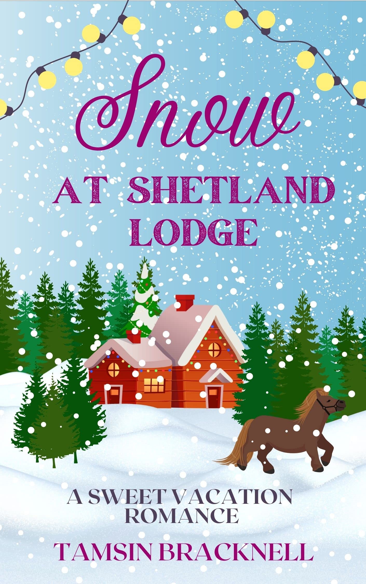 Snow at Shetland Lodge