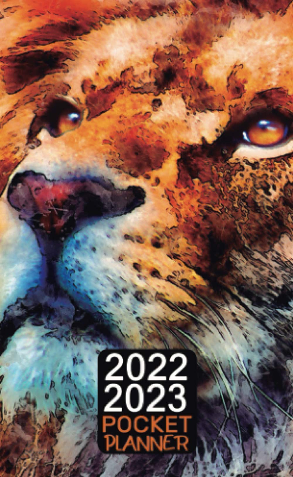 2022-2023 Pocket Planner:: 2 Year Monthly Pocket Organizer & Calendar