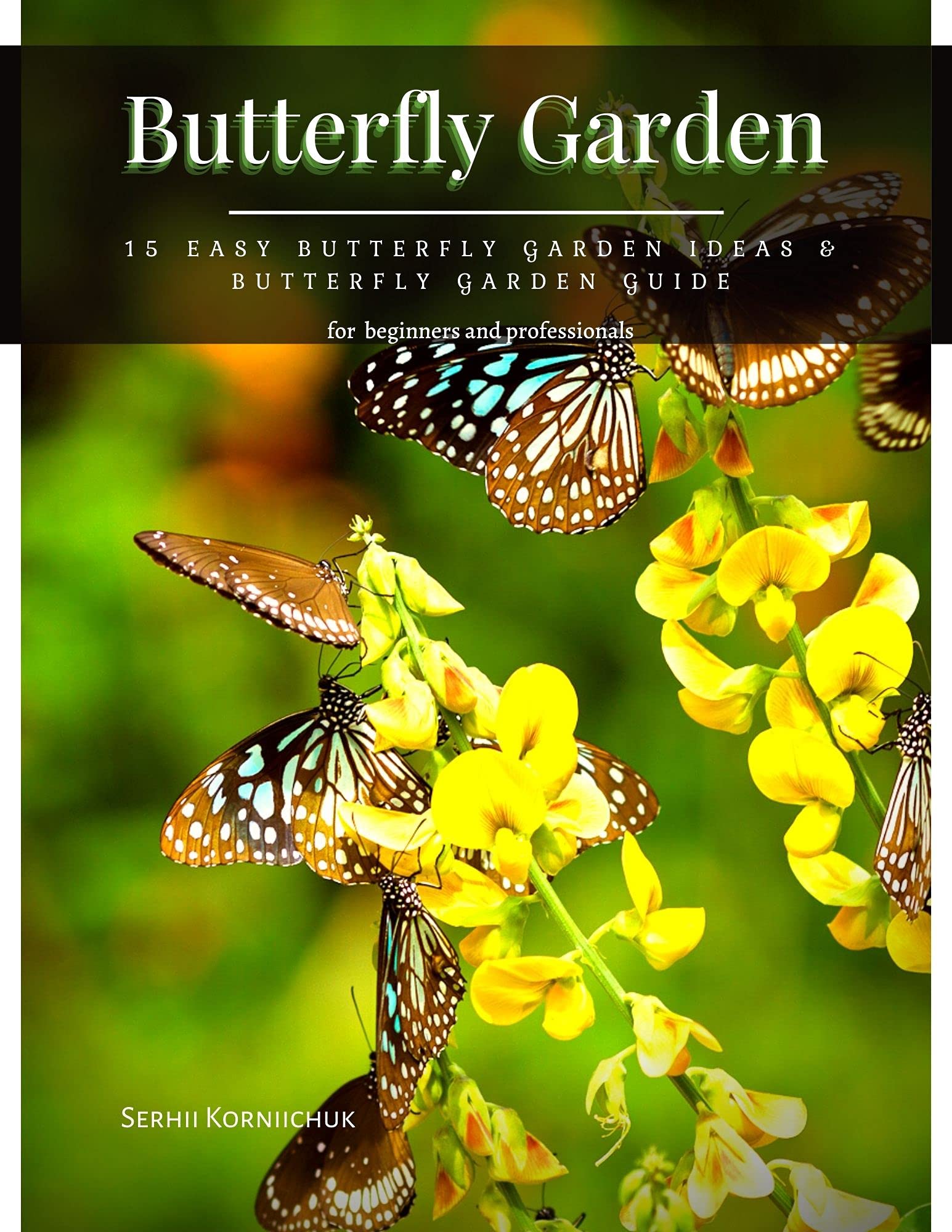 Butterfly Garden 15 Easy Butterfly Garden Ideas & Butterfly Garden