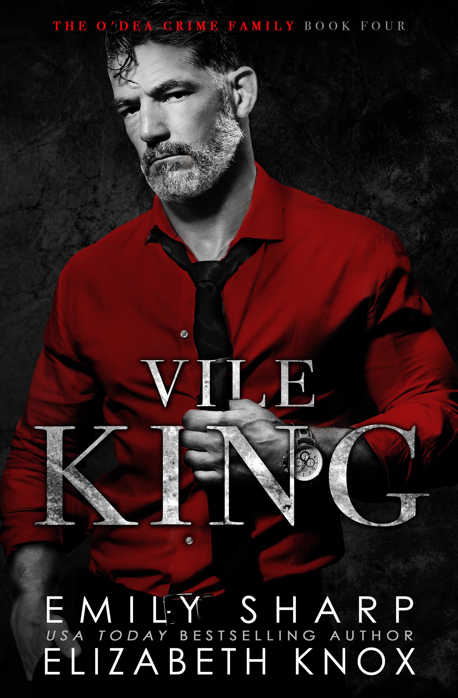 Vile King book cover