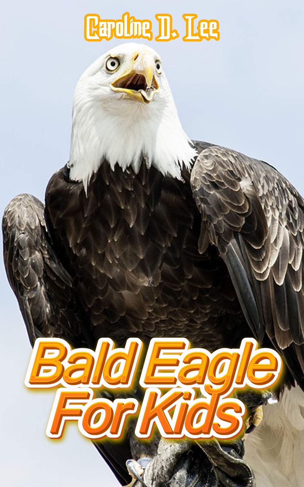 Bald Eagle For Kids Animal fact for girl age 110 Animal fact for boy