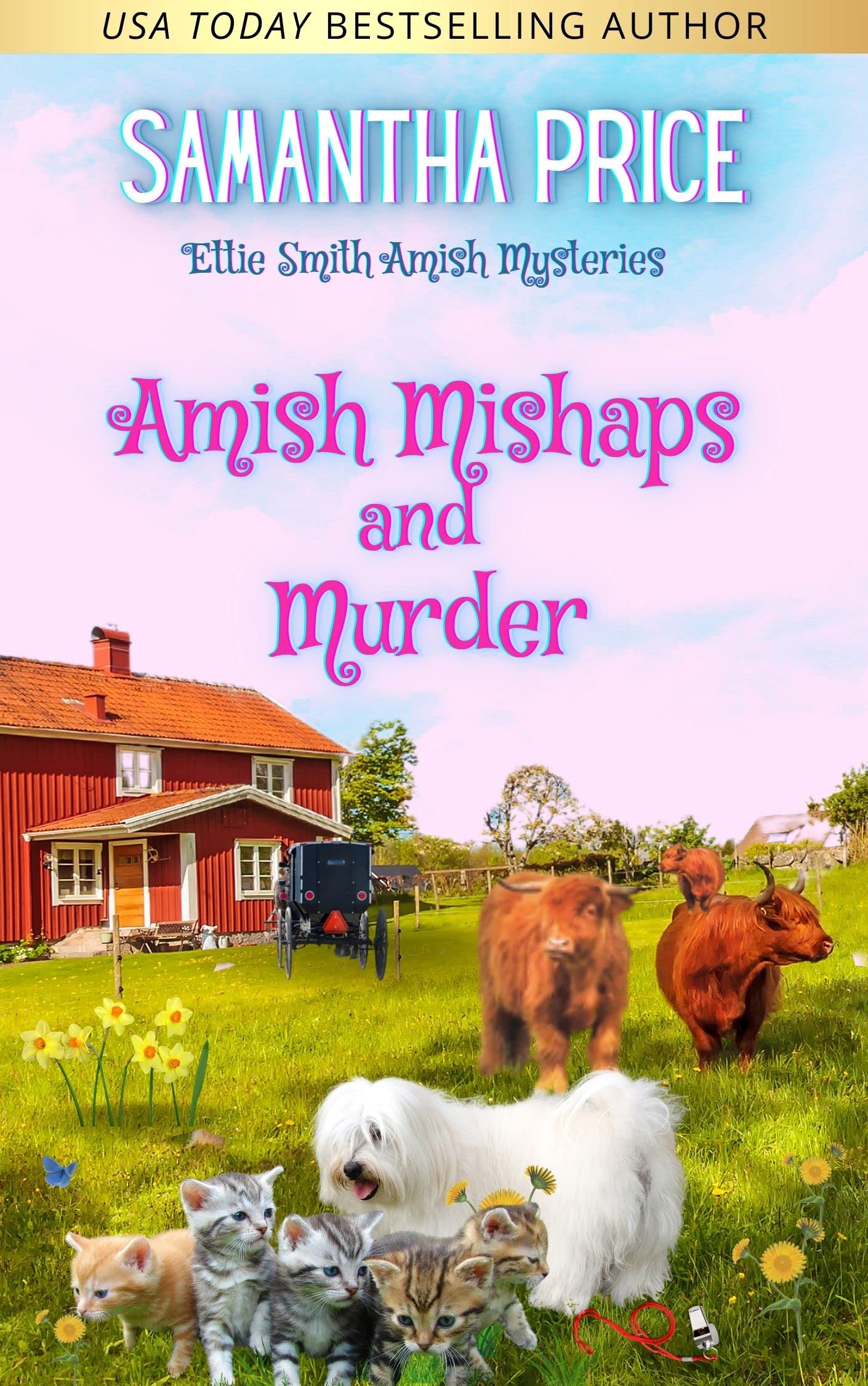 Amish Mishaps and Murder