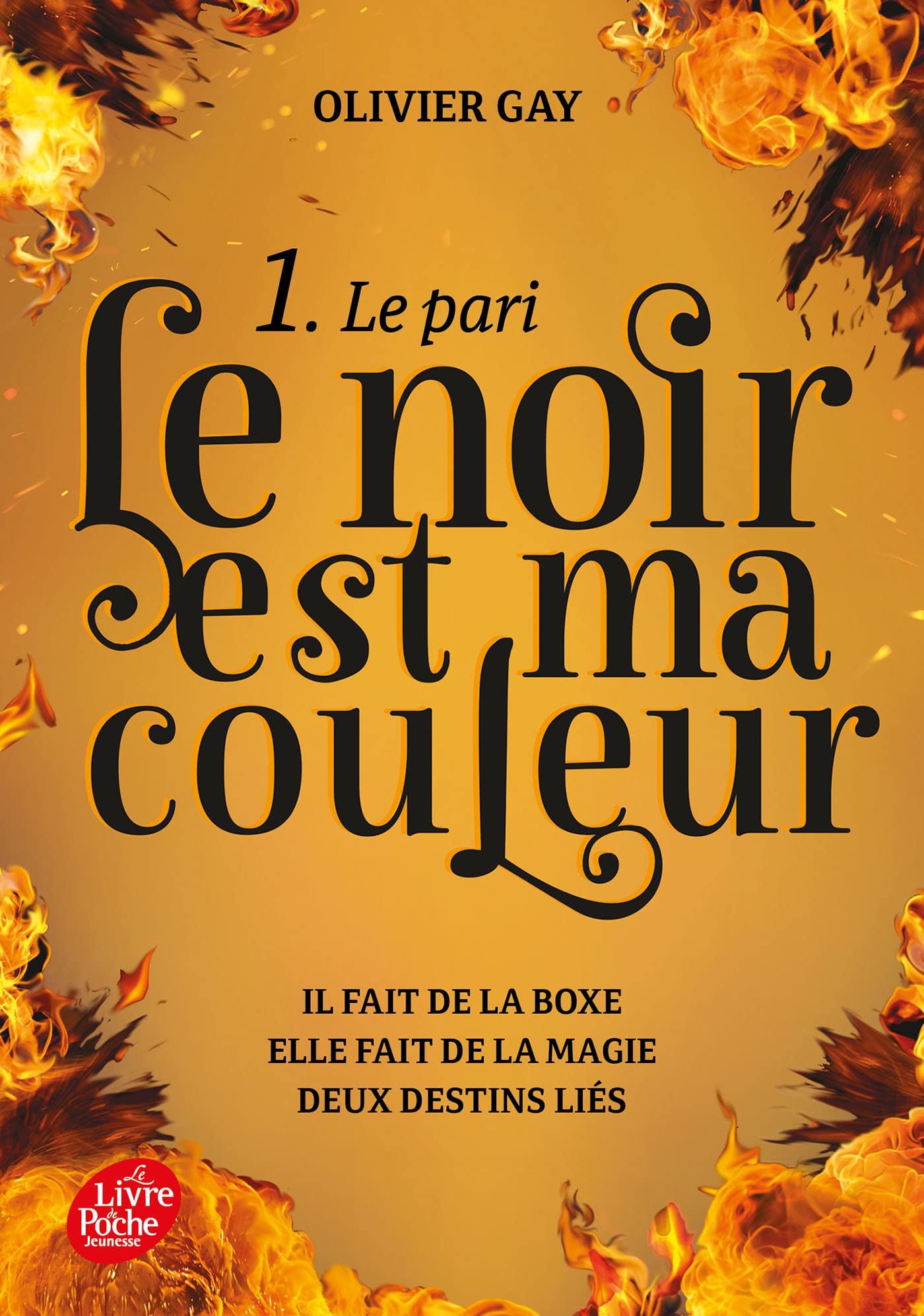 Le noir est ma couleur book cover