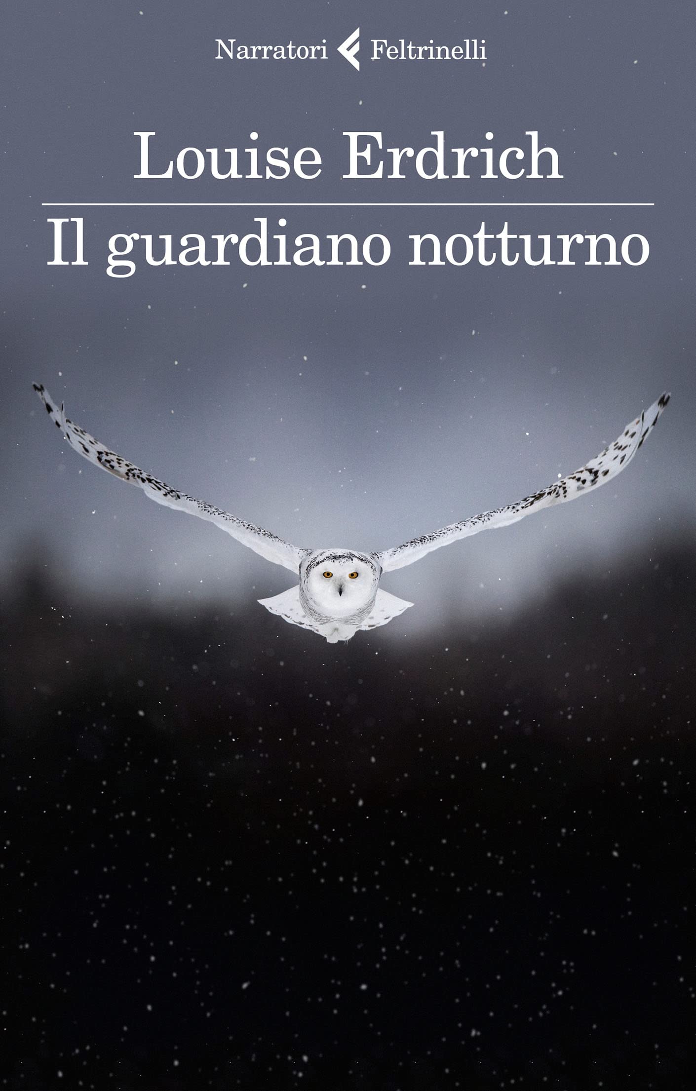 Il guardiano notturno (Italian Edition)