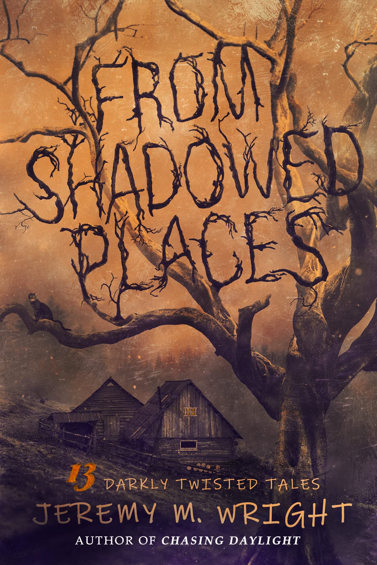 From Shadowed Places: 13 Darkly Twisted Tales