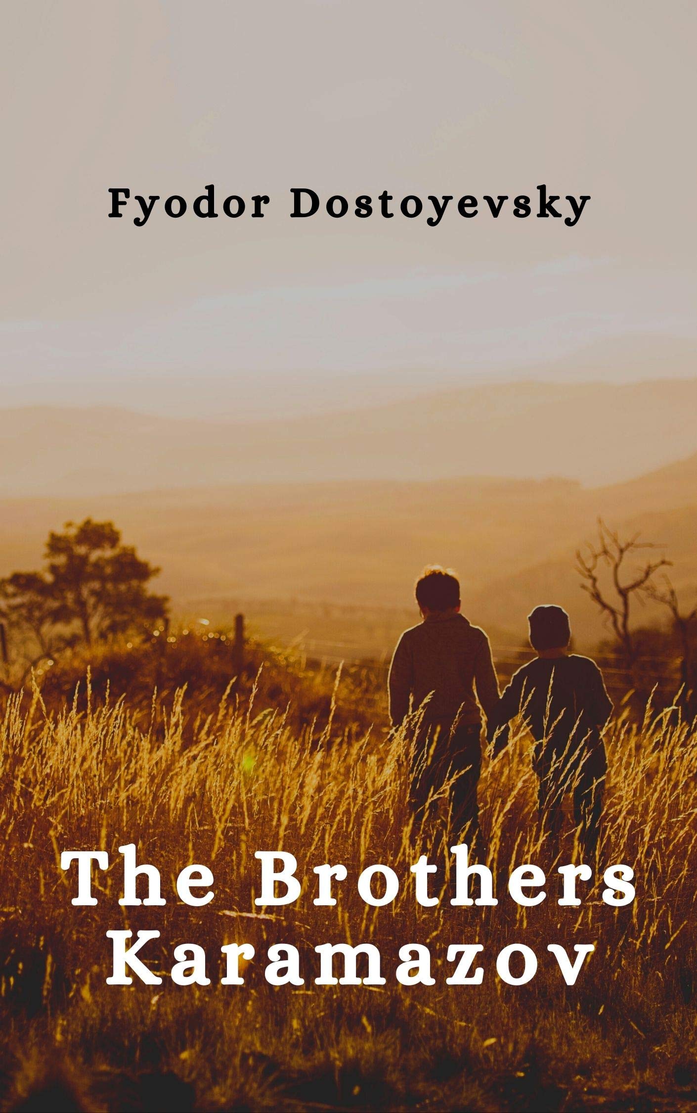 The Brothers Karamazov by Fyodor Dostoevsky Goodreads