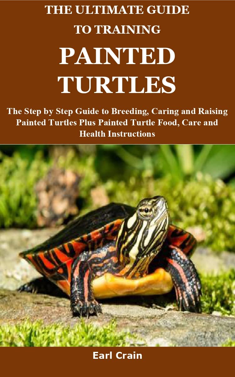 The Ultimate Guide to Training Painted Turtles The Step by Step Guide