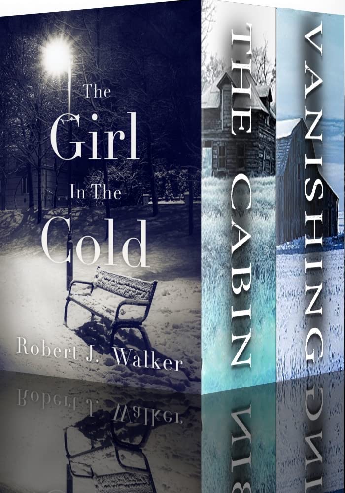 The Girl in The Cold book cover