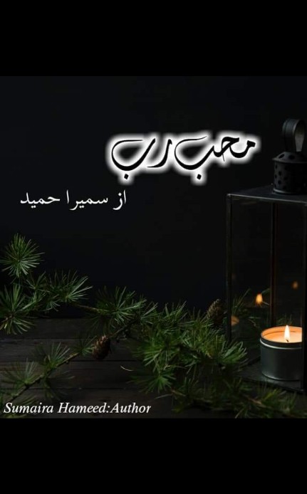 Muhib e Rabb