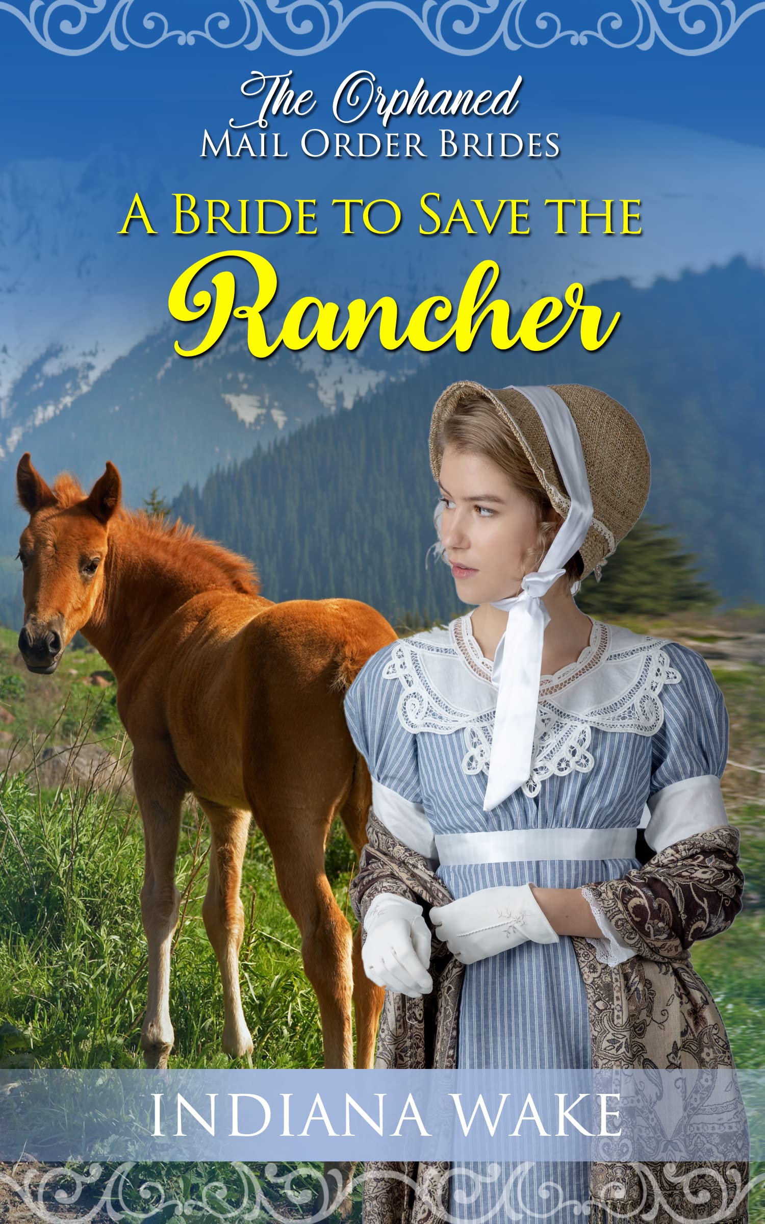The Orphaned Mail Order Brides book cover 1
