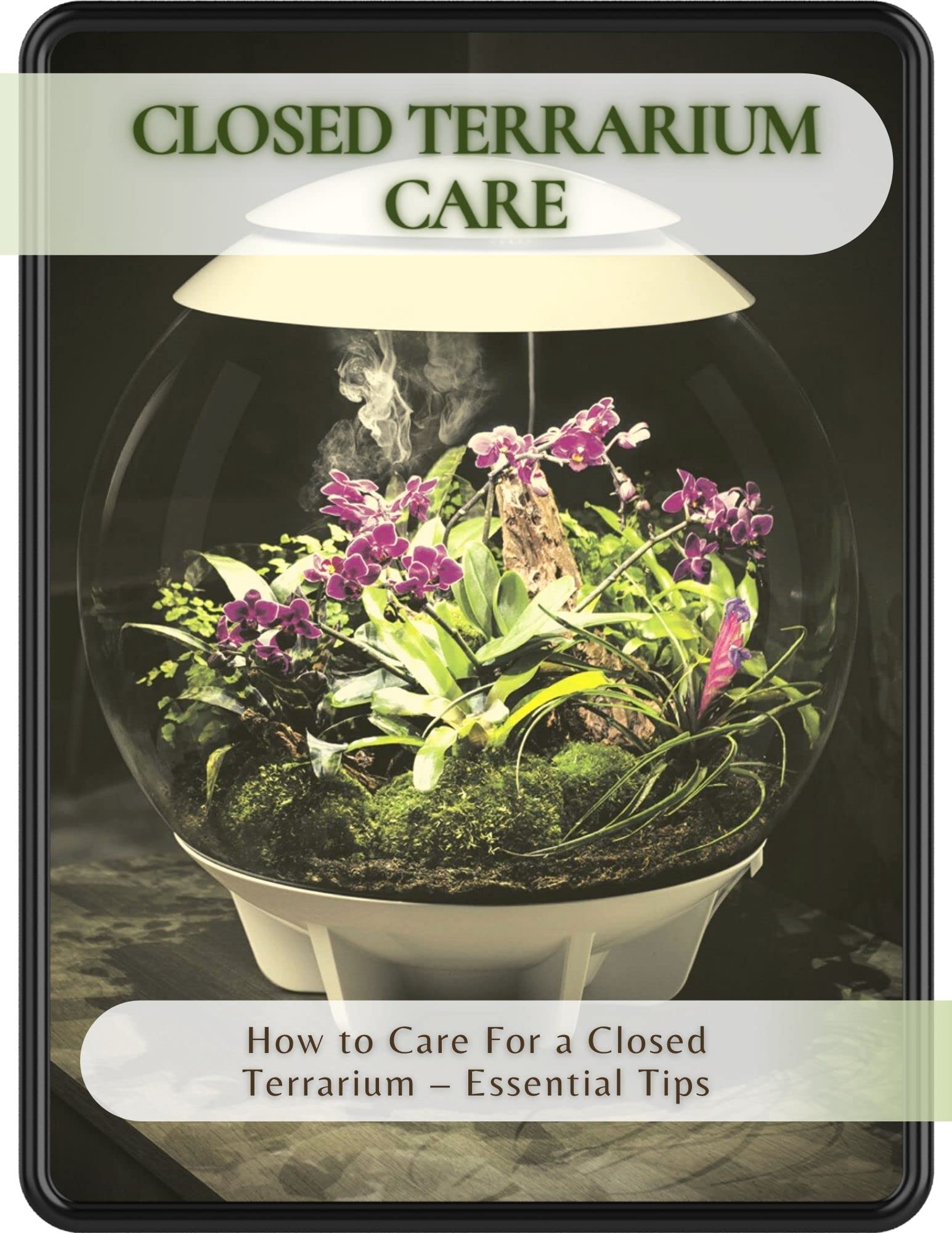 Closed Terrarium care How to Care For a Closed Terrarium Essential Tips by Paul Wangardener