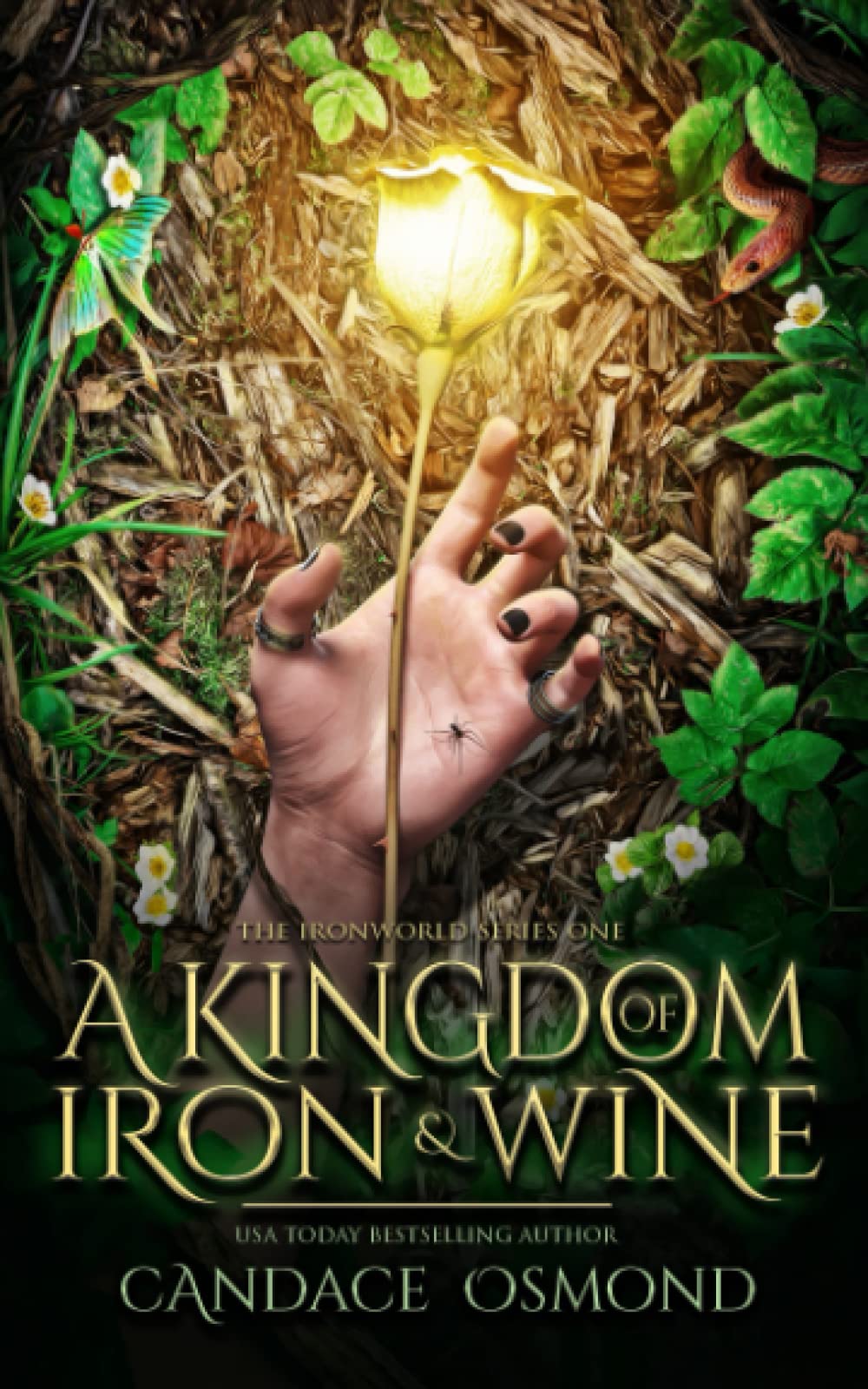A Kingdom of Iron & Wine (Ironworld #1)